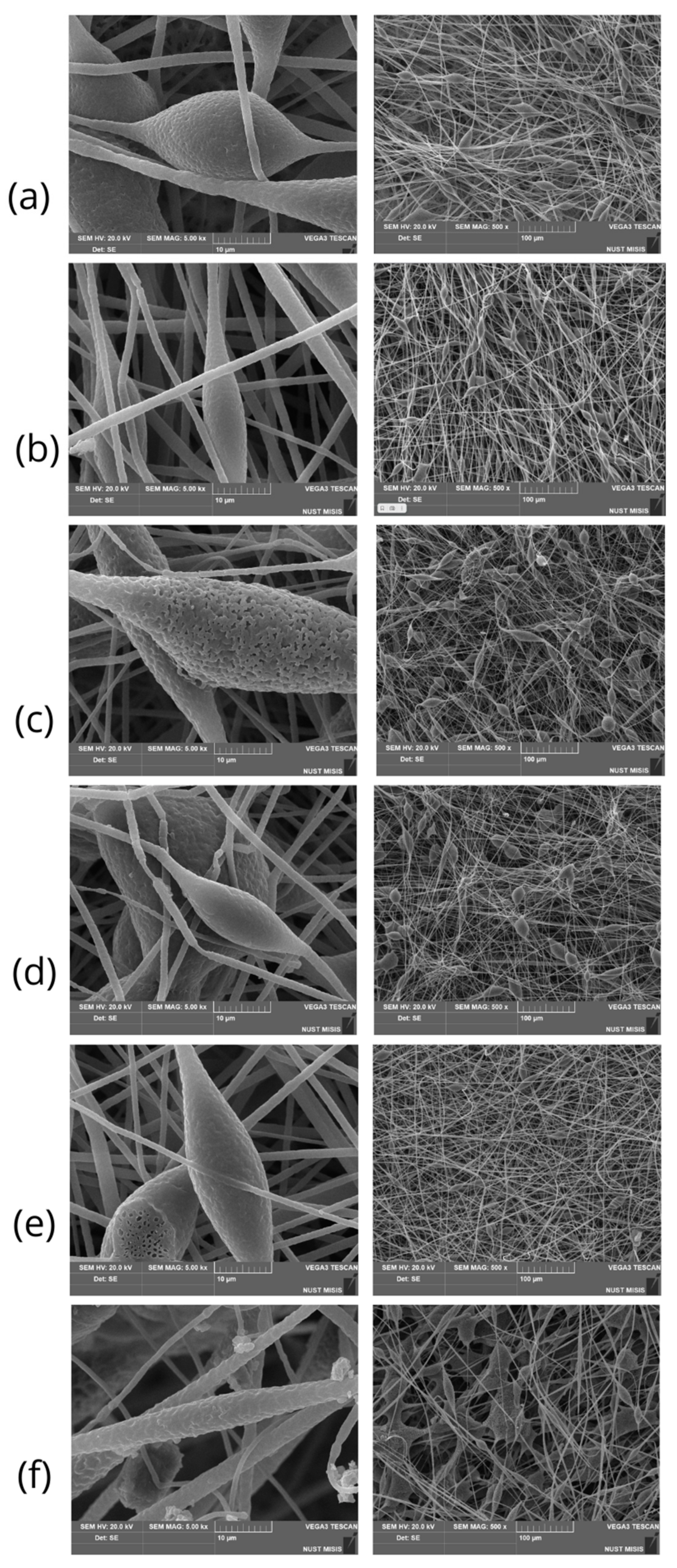 Polymers 16 00101 g003 Polymers 16 00101 g003