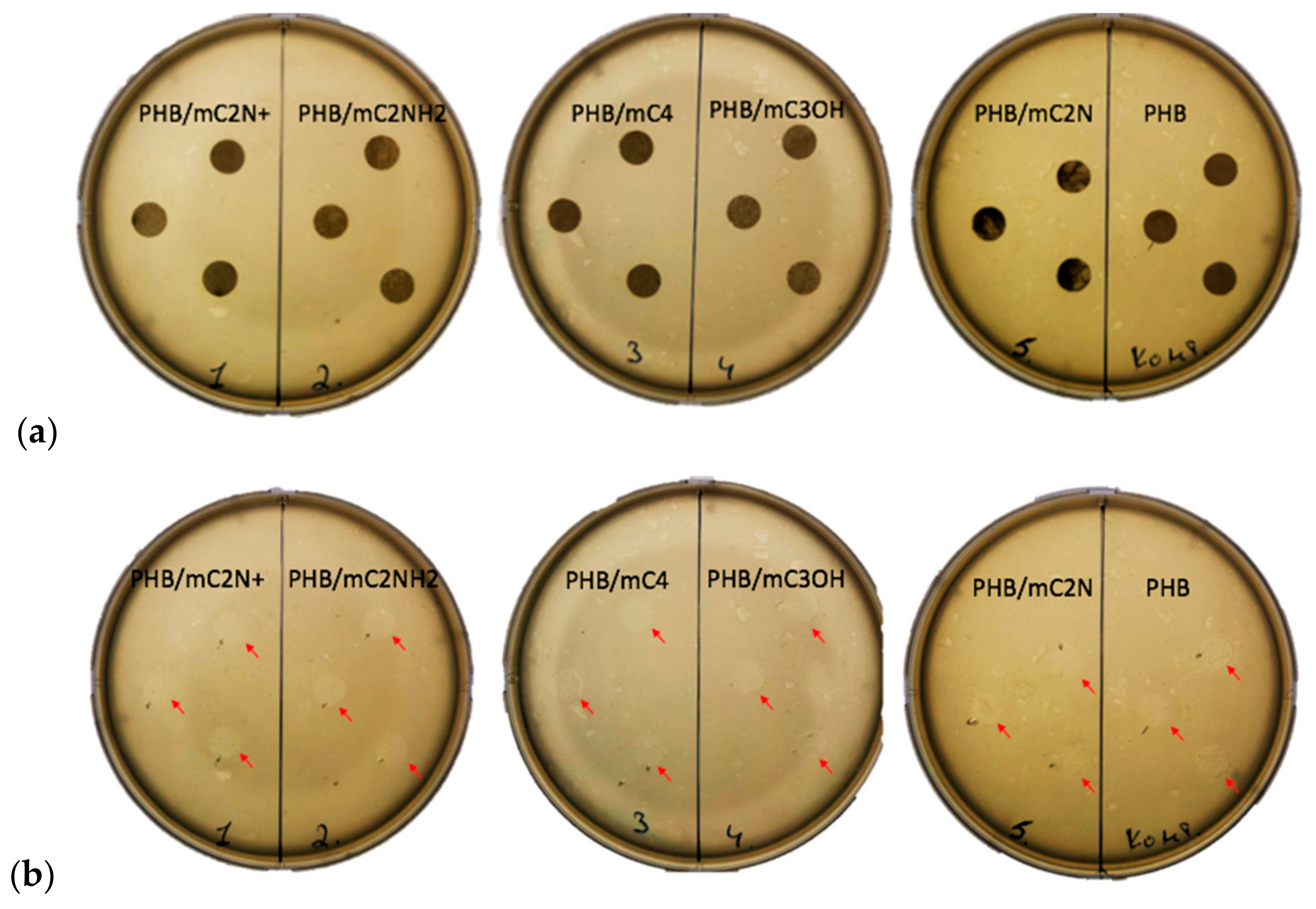Polymers 16 00101 g007 Polymers 16 00101 g007