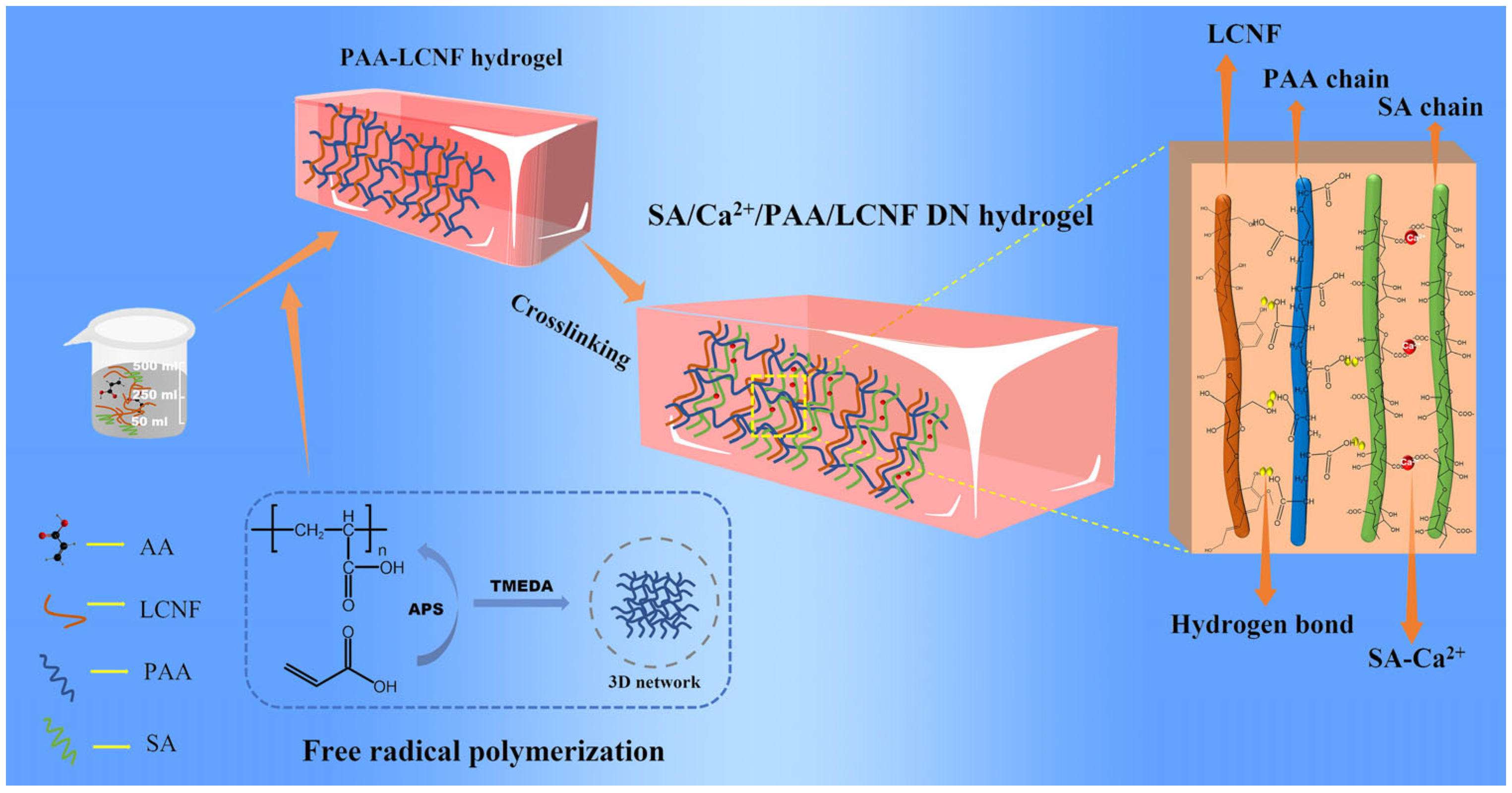 Polymers 16 00102 g001