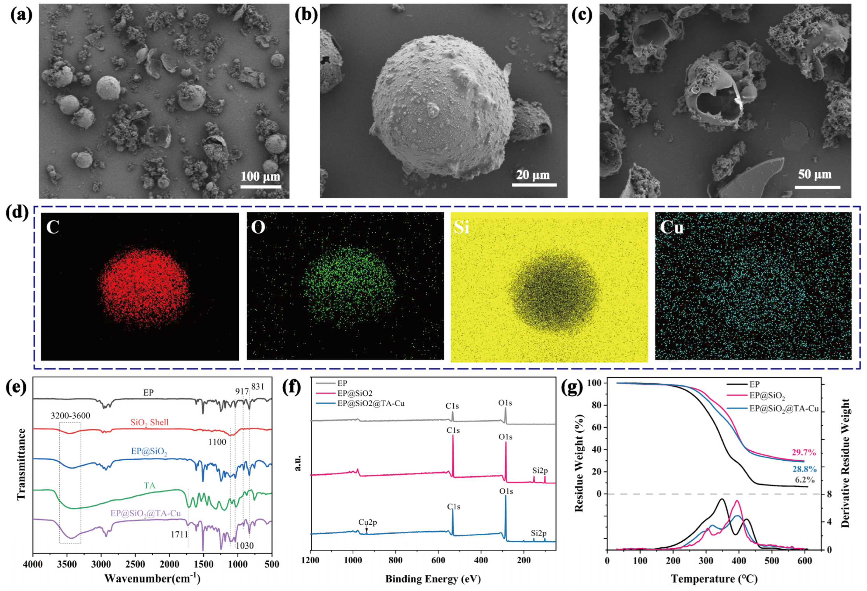 Polymers 16 00105 g002