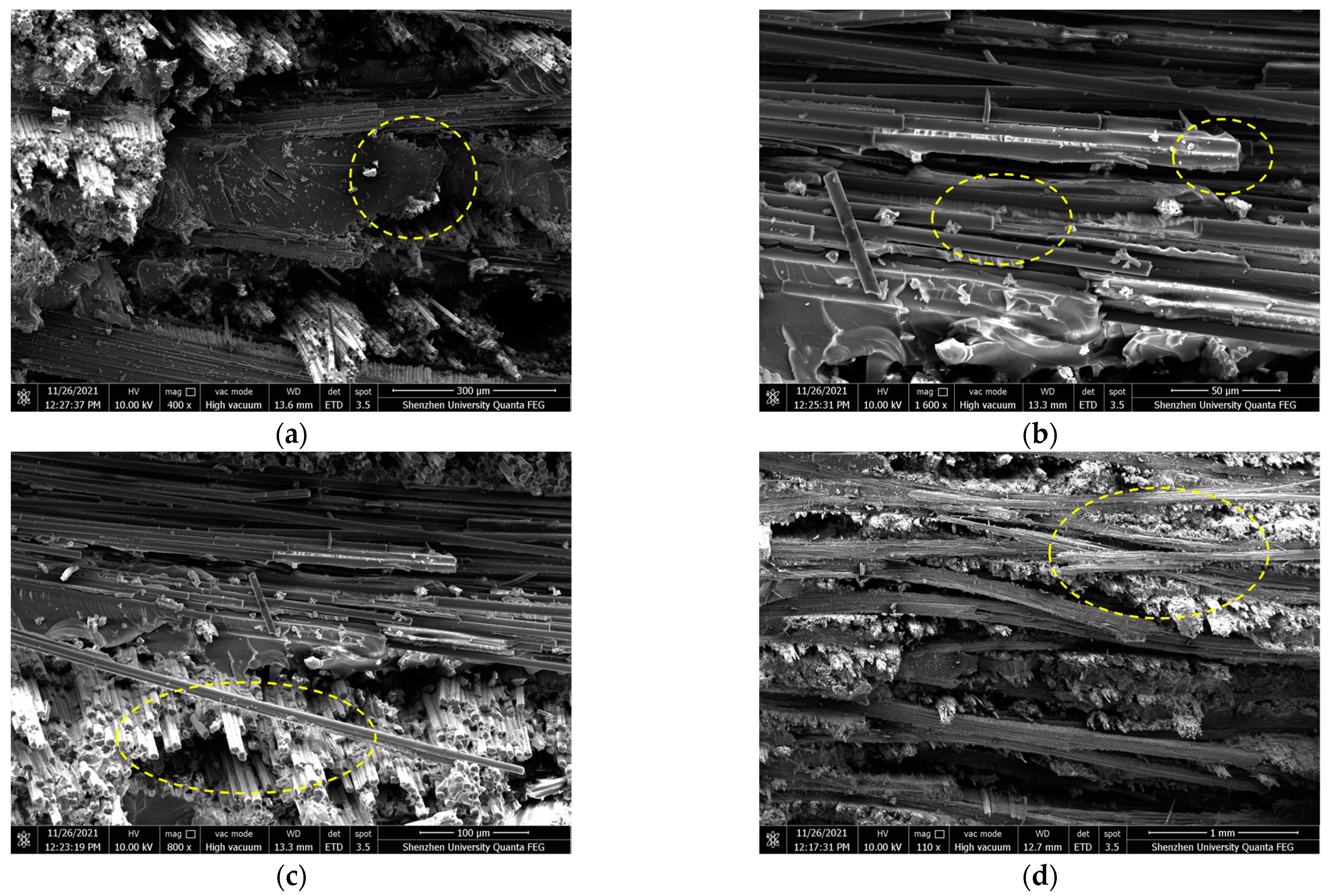 Polymers 16 00108 g010 Polymers 16 00108 g010