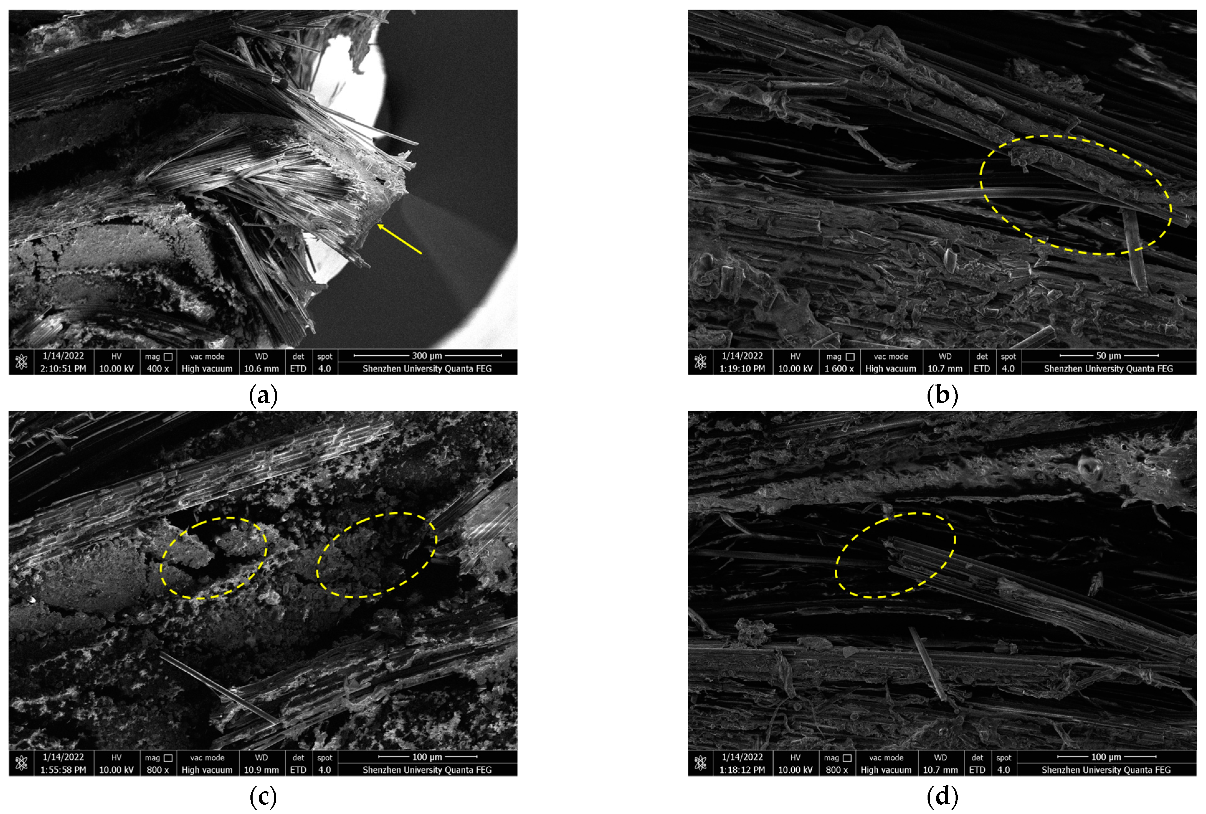 Polymers 16 00108 g013 Polymers 16 00108 g013