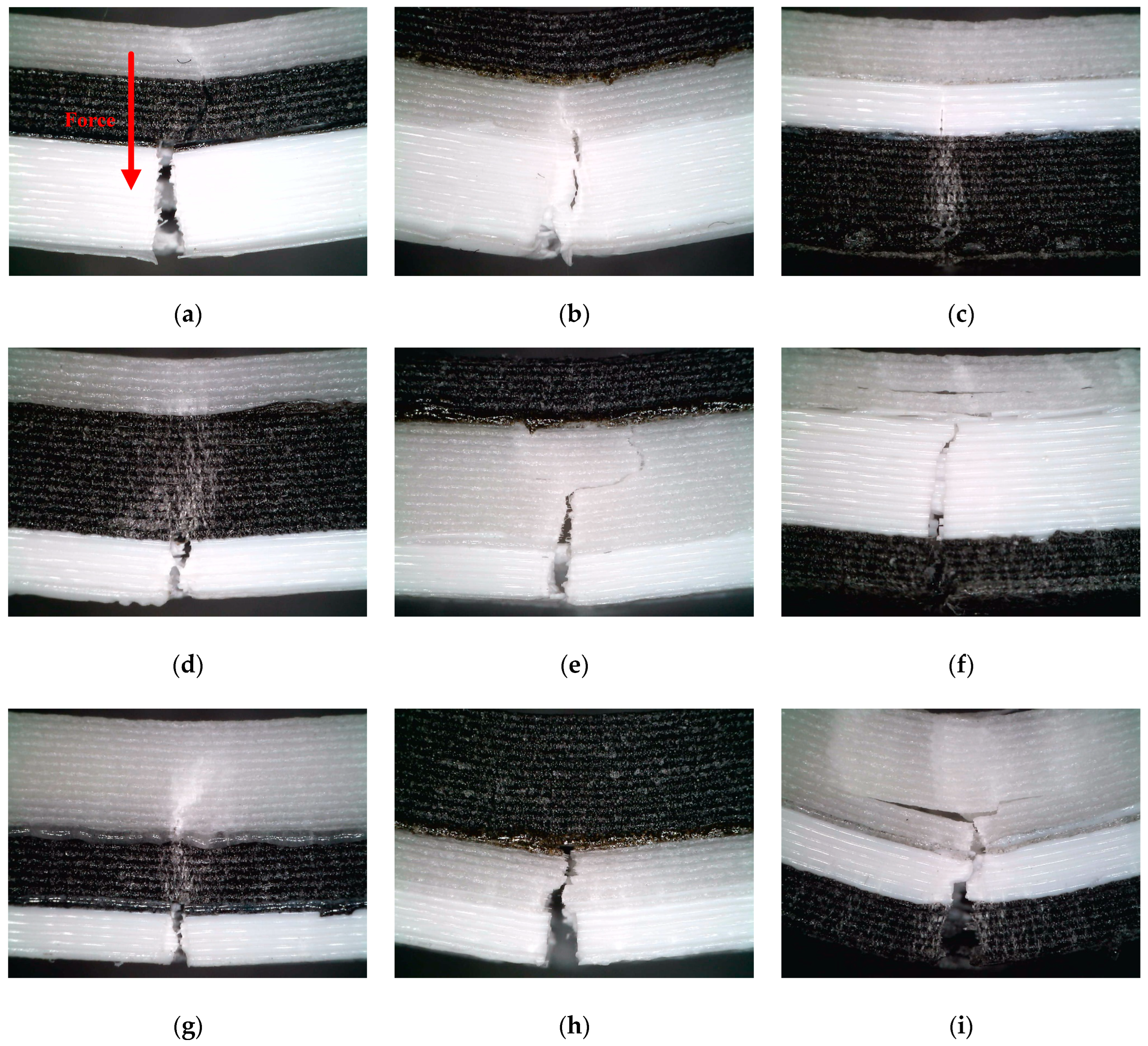 Polymers 16 00109 g009