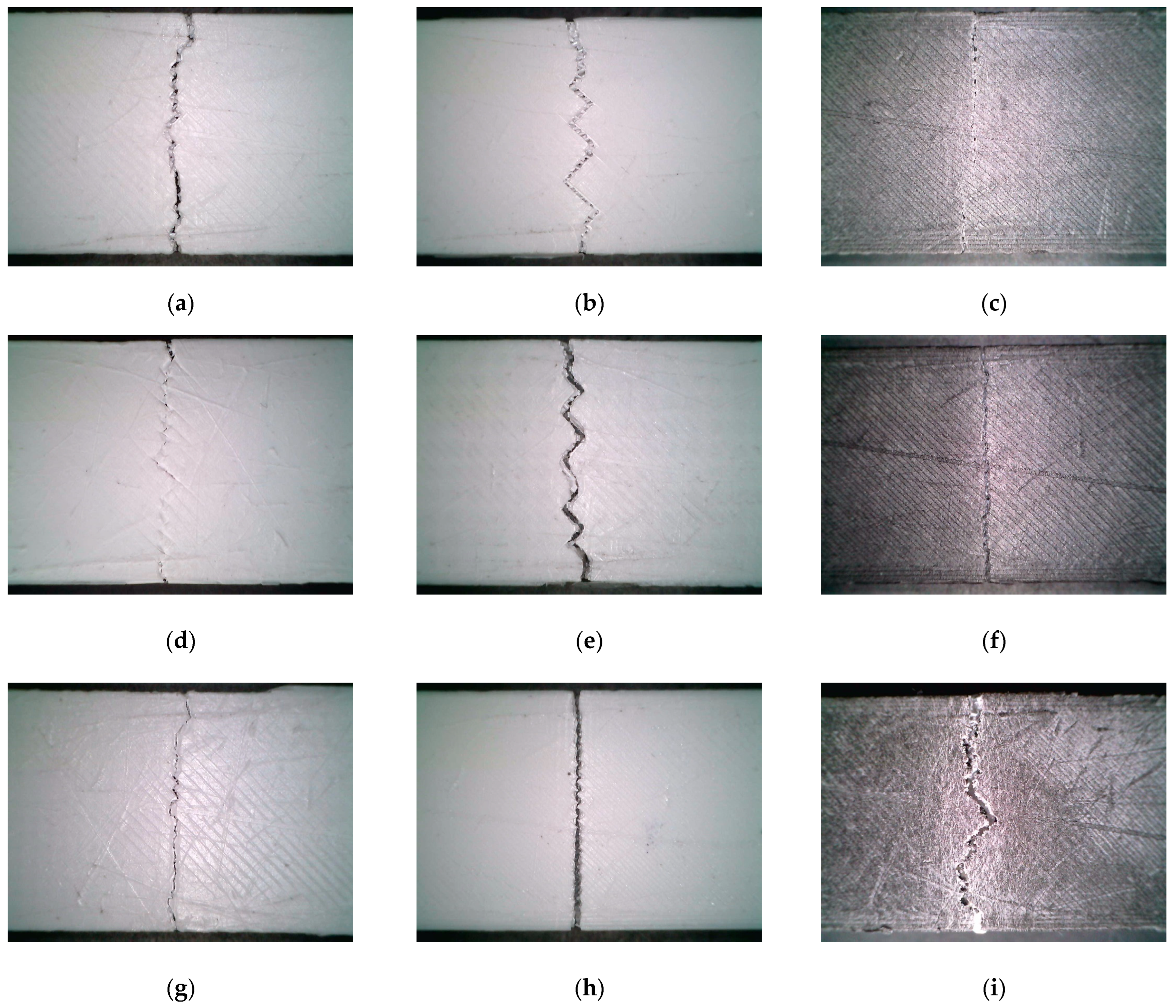 Polymers 16 00109 g010