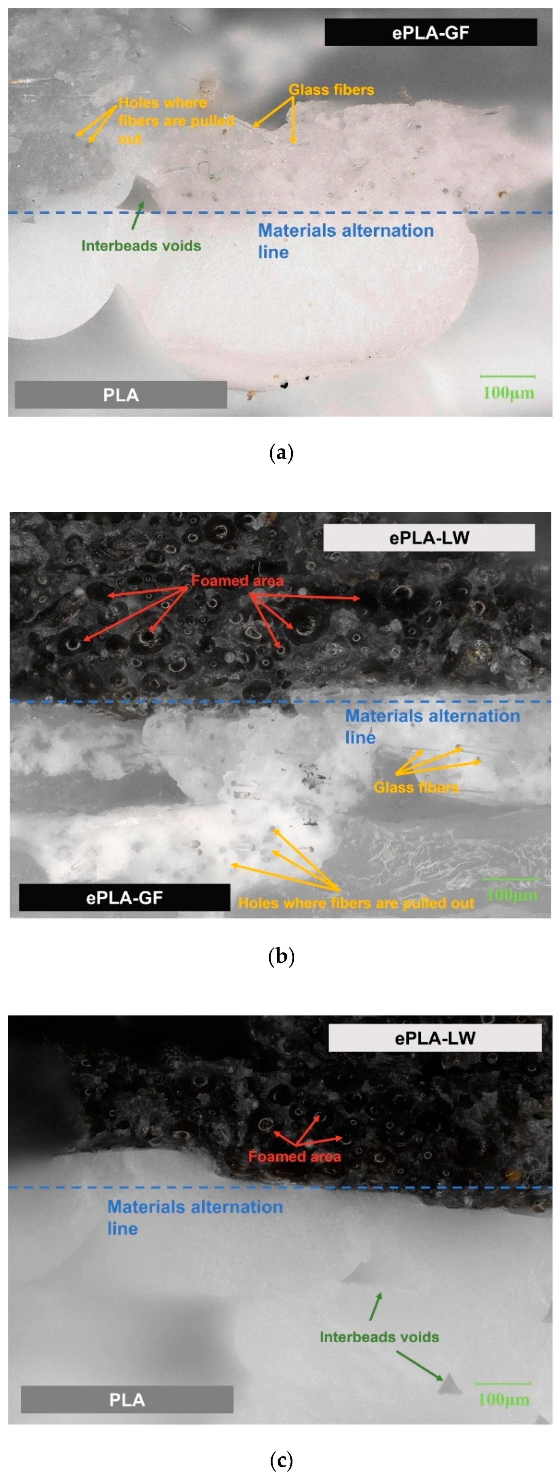 Polymers 16 00109 g011