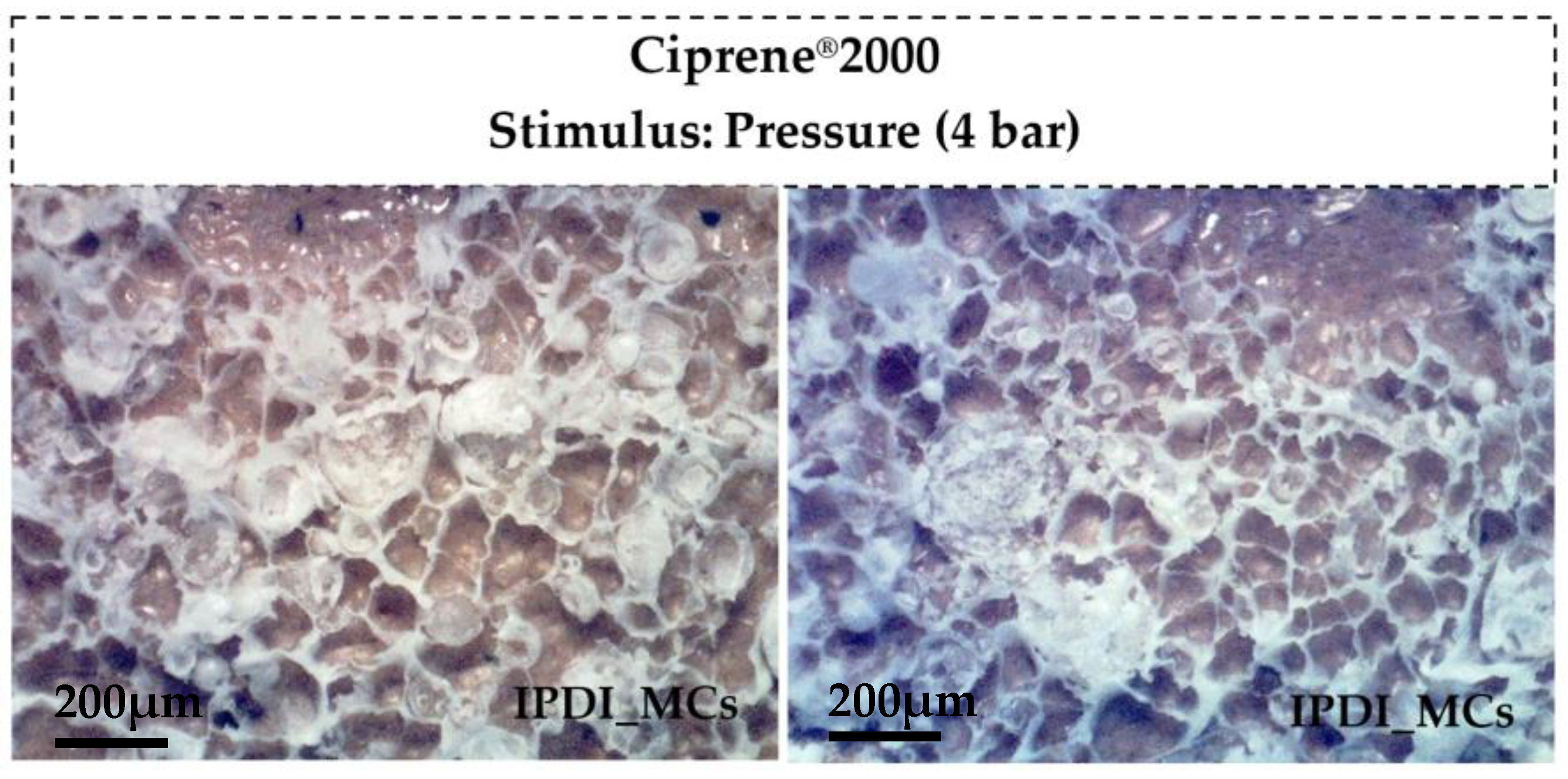 Polymers 16 00111 g010