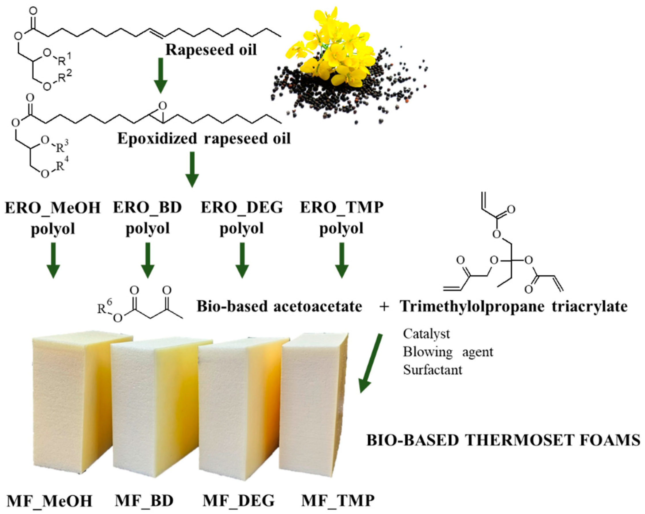 Polymers 16 00117 g001