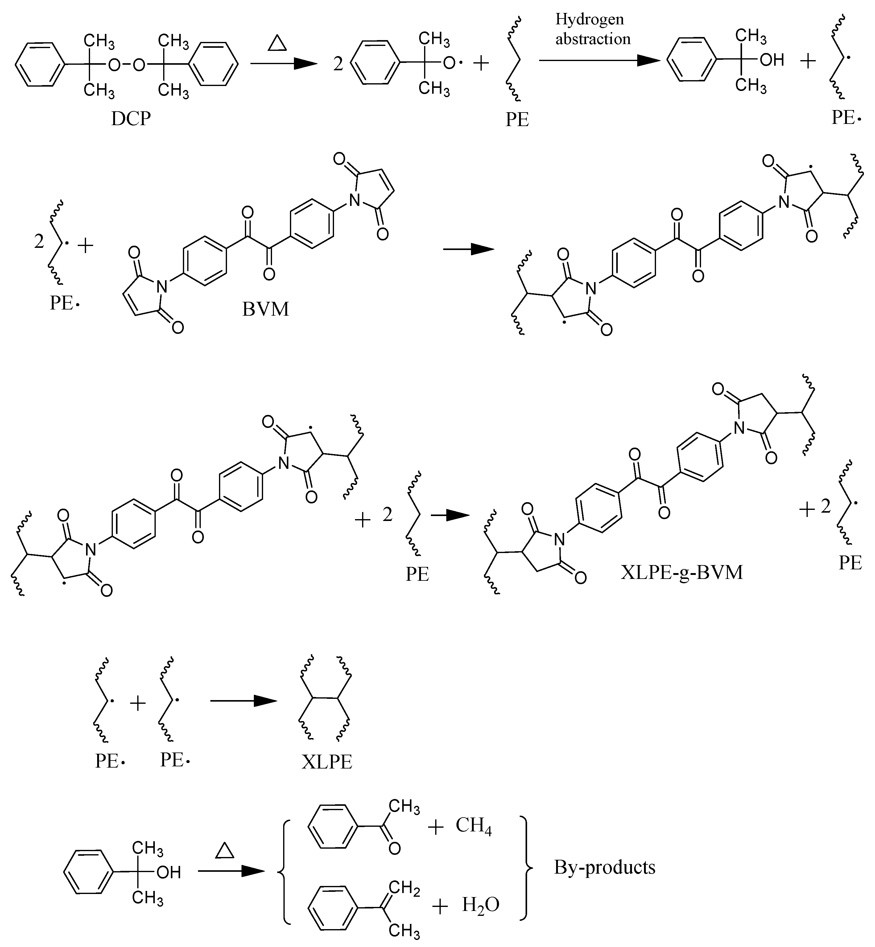 Polymers 16 00119 g002