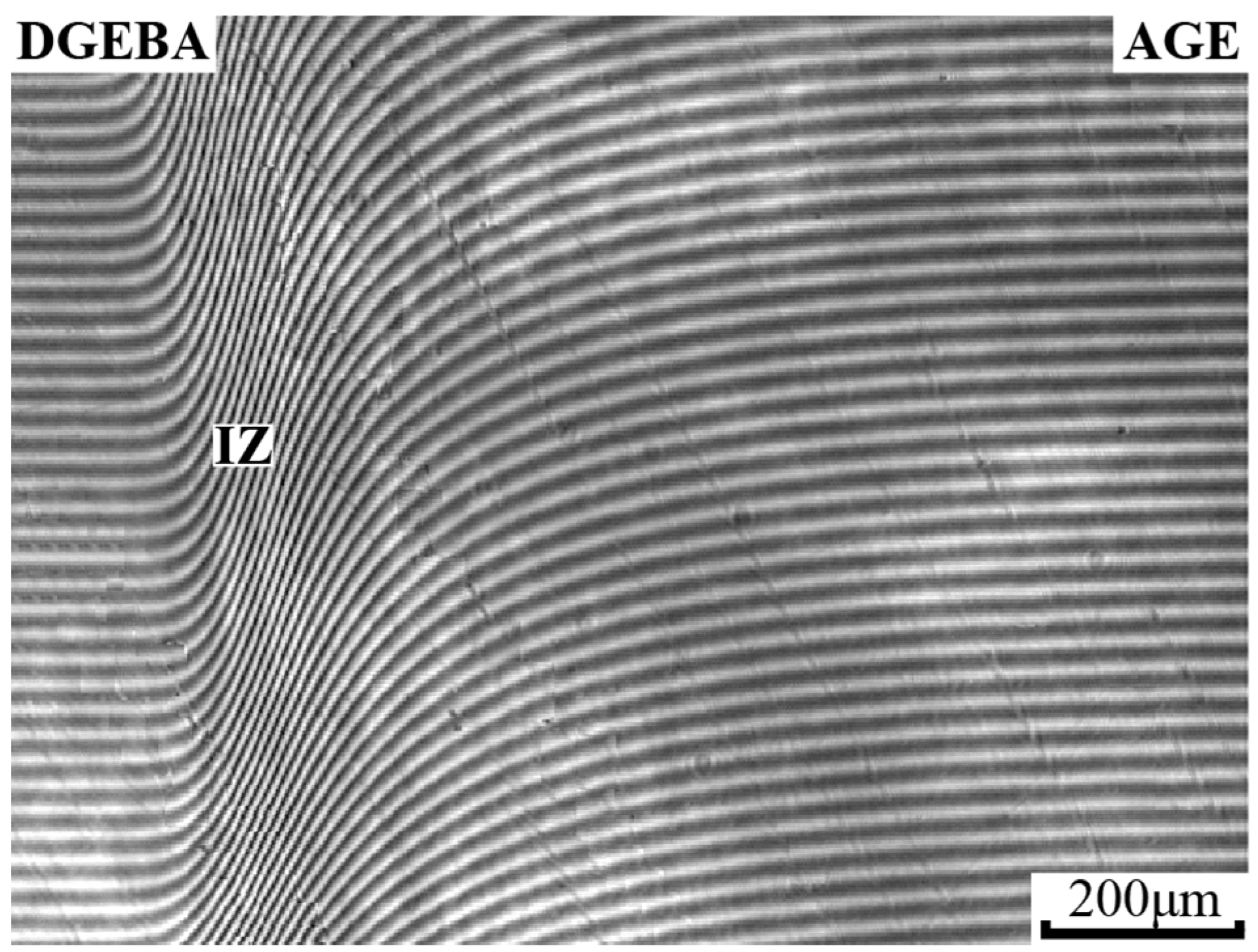 Polymers 16 00130 g006
