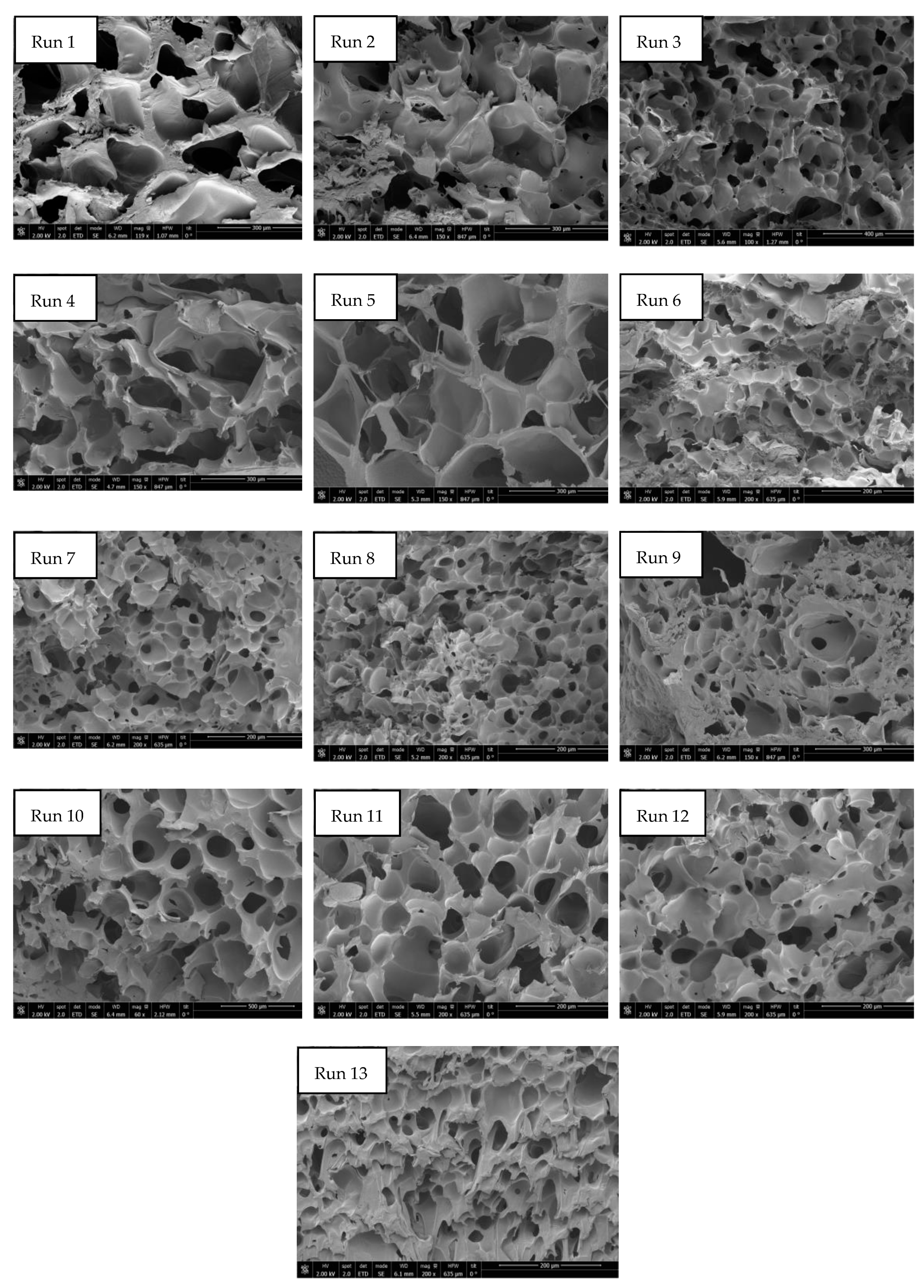 Polymers 16 00133 g004