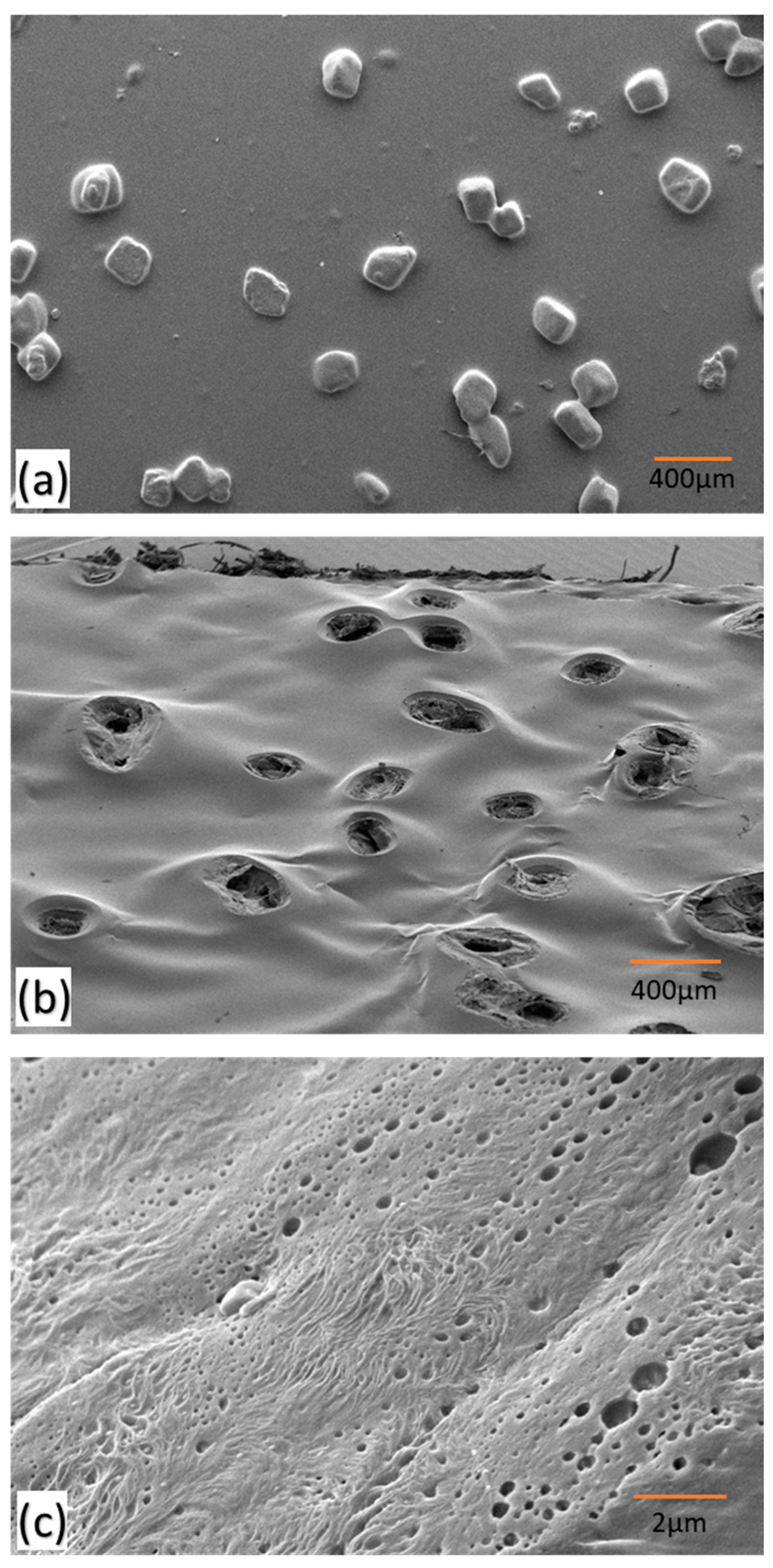 Polymers 16 00135 g004