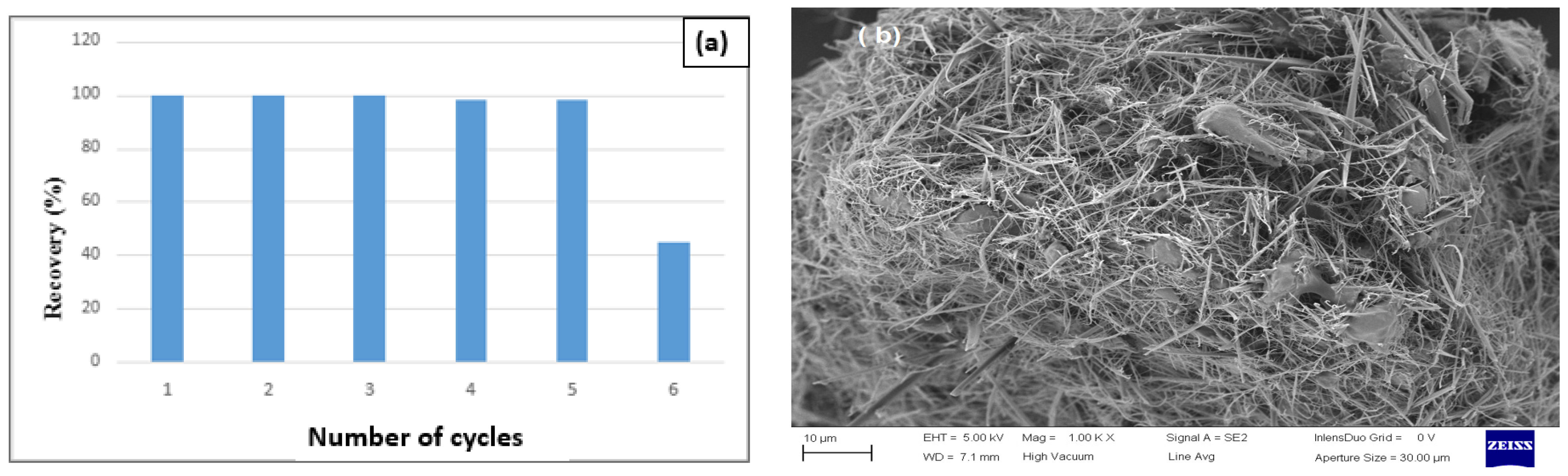 Polymers 16 00140 g019