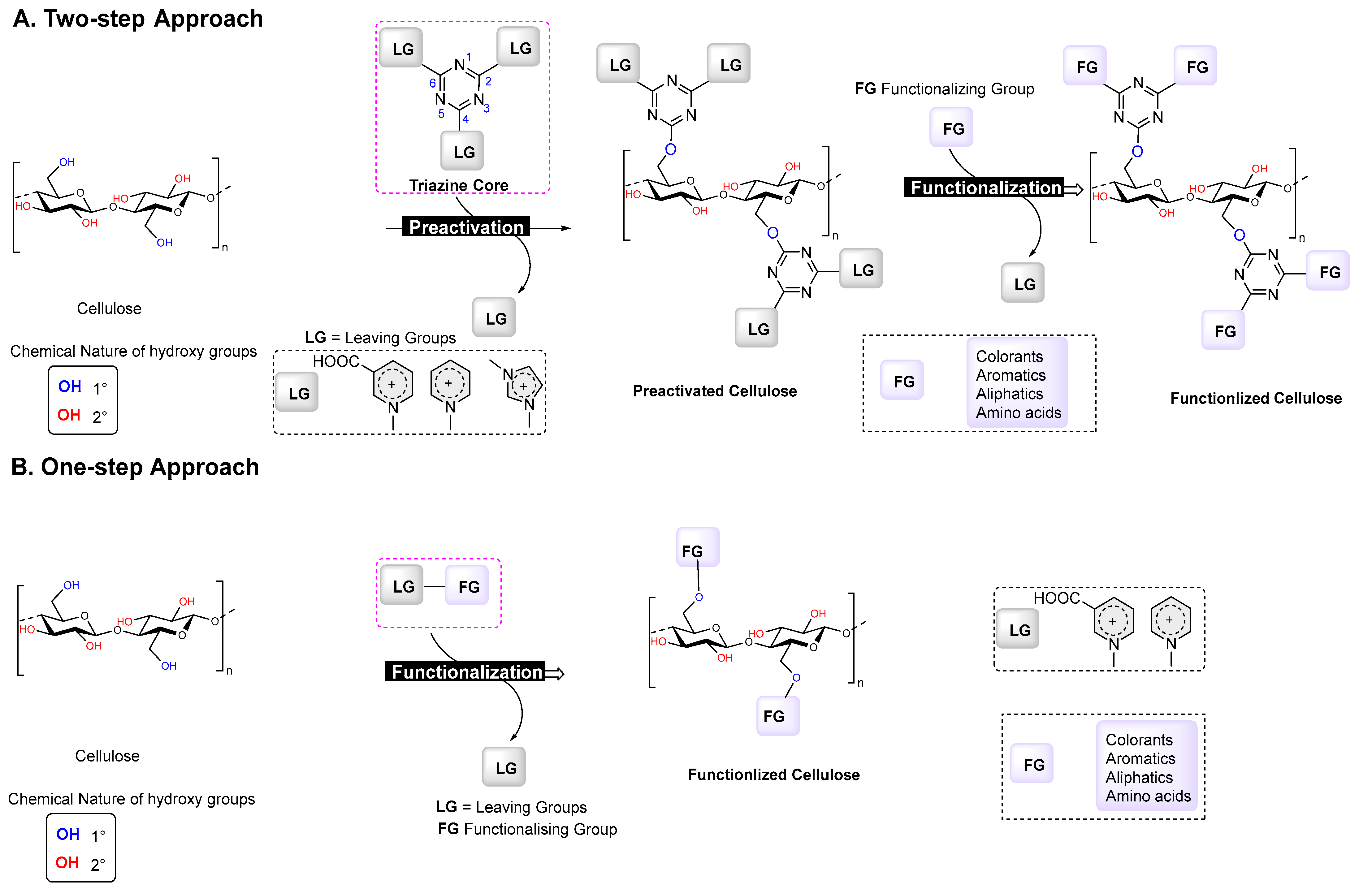 Polymers 16 00149 sch001