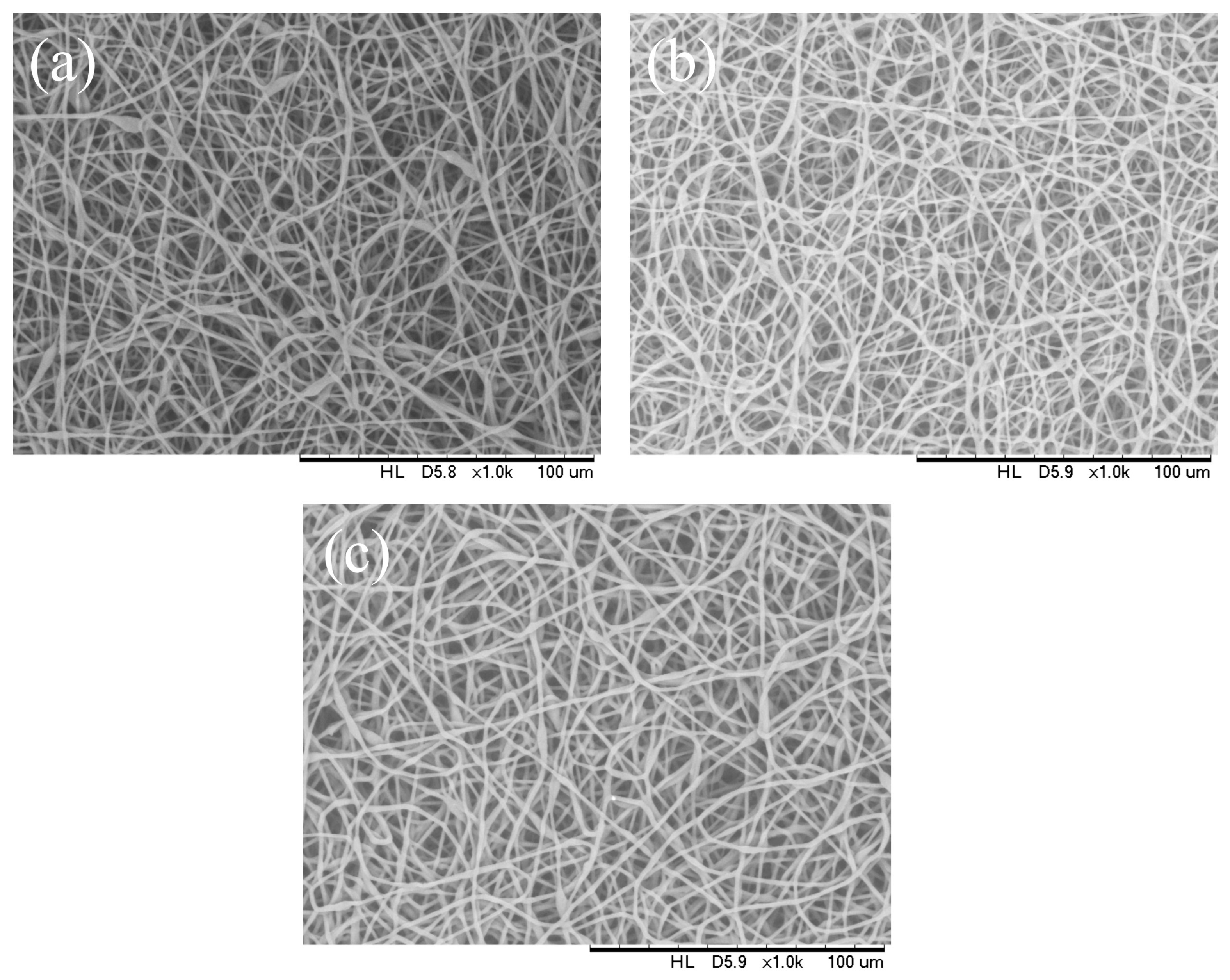 Polymers 16 00154 g006