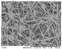 Polymers 16 00154 i003