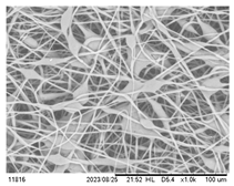 Polymers 16 00154 i005