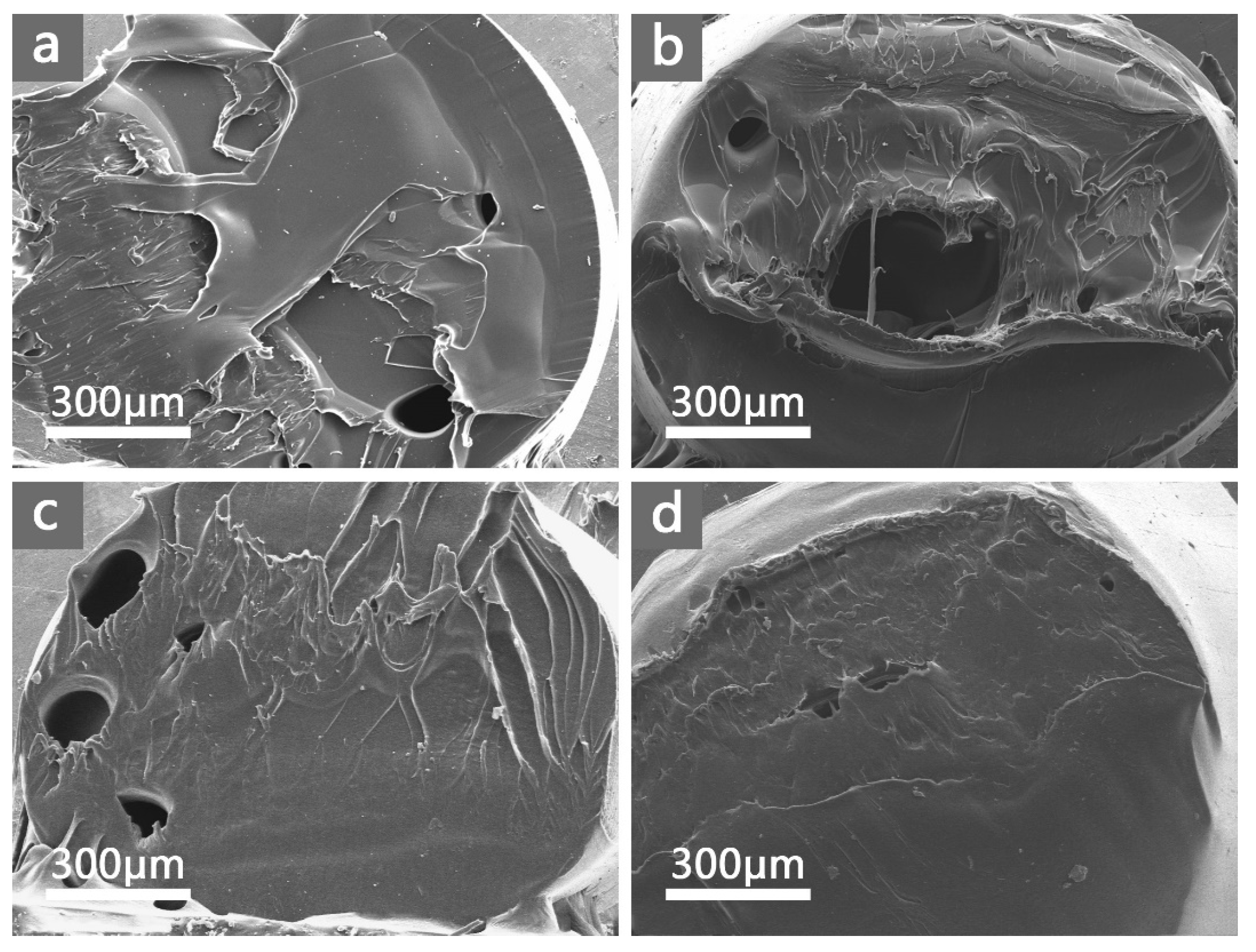 Polymers 16 00158 g003