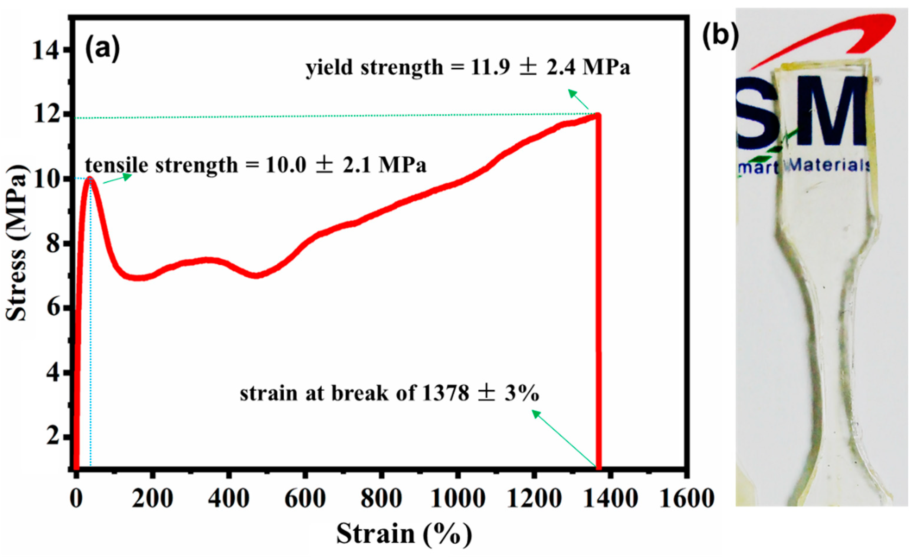 Polymers 16 00159 g005