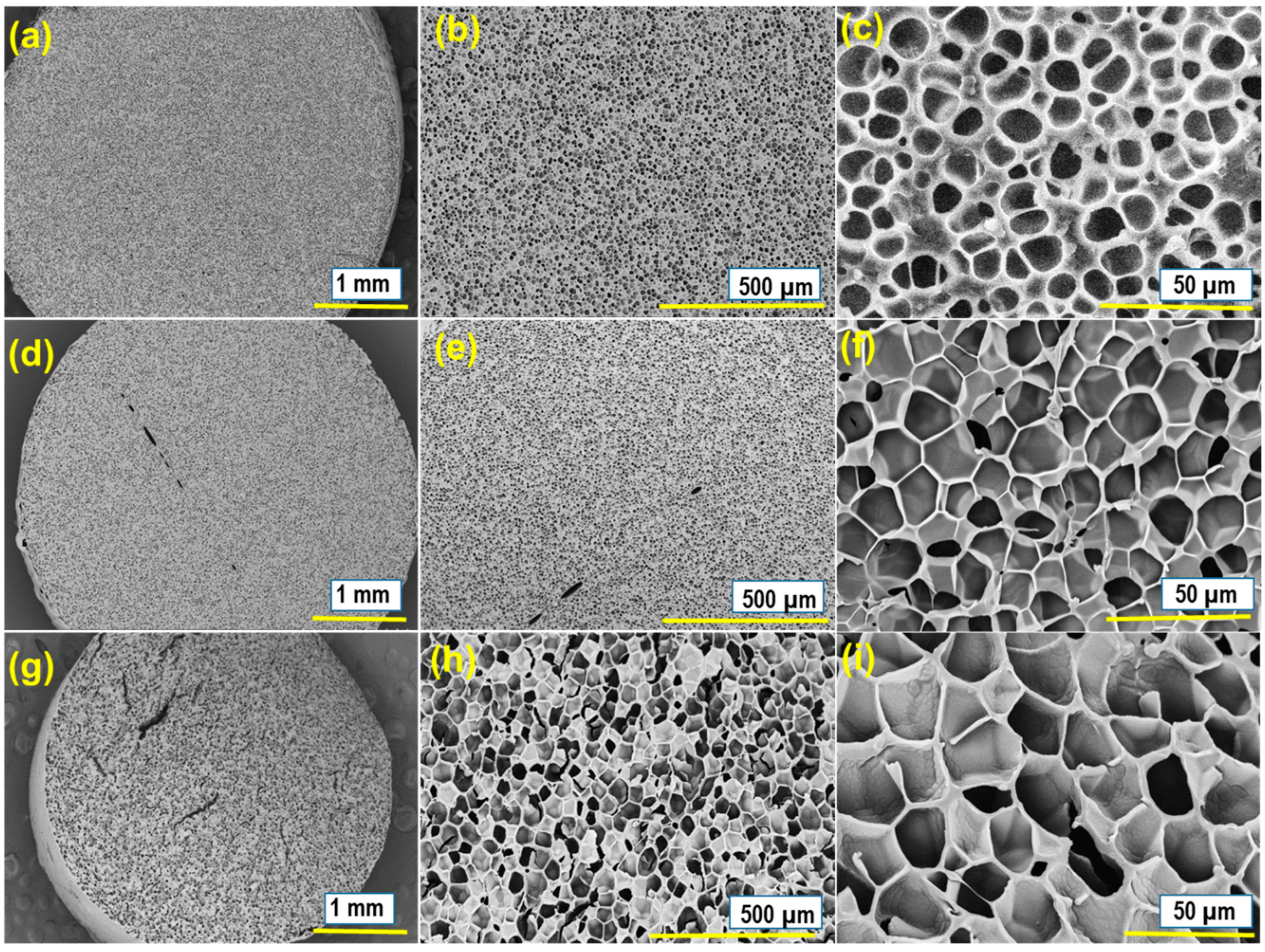 Polymers 16 00159 g007