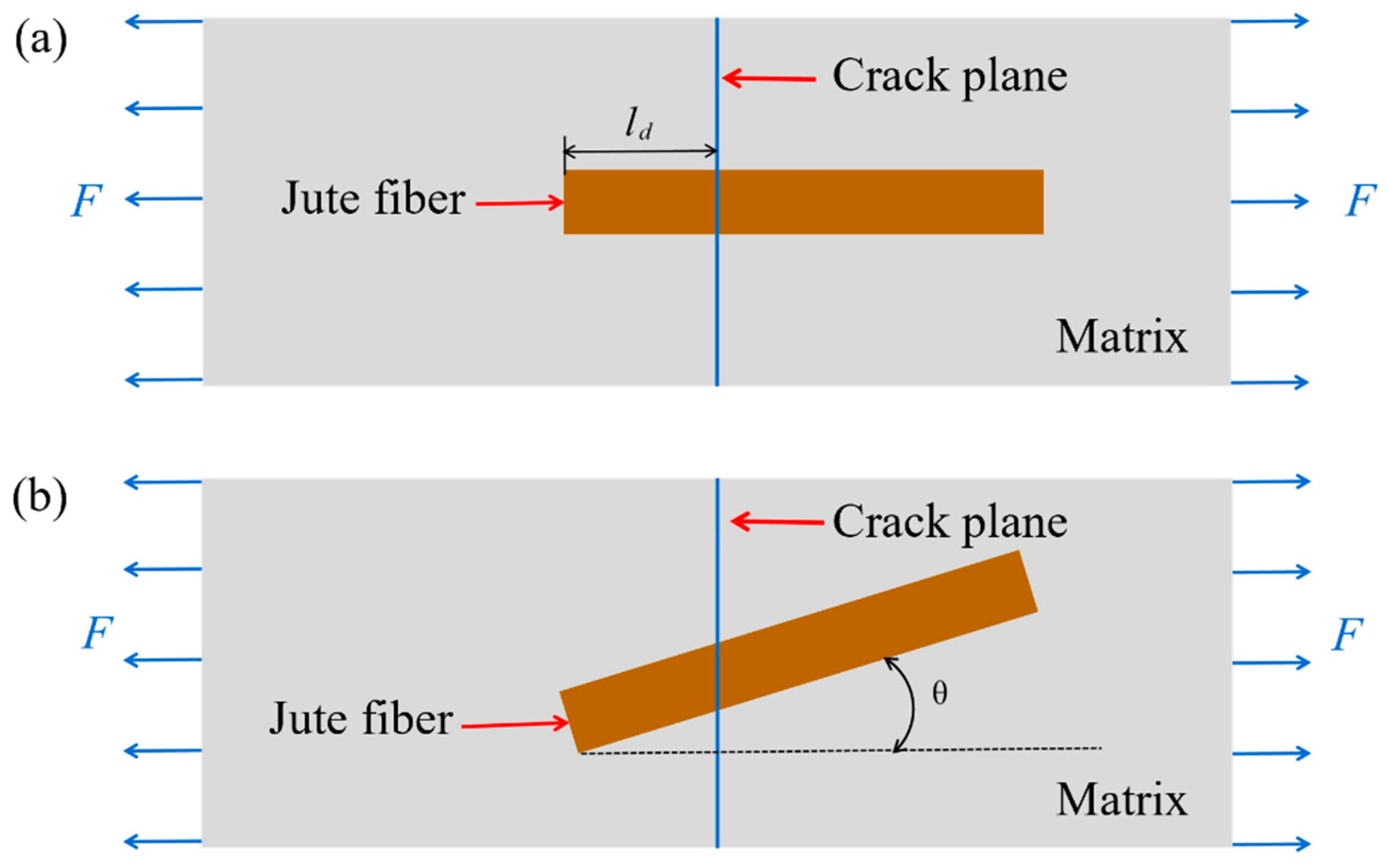 Polymers 16 00160 g008