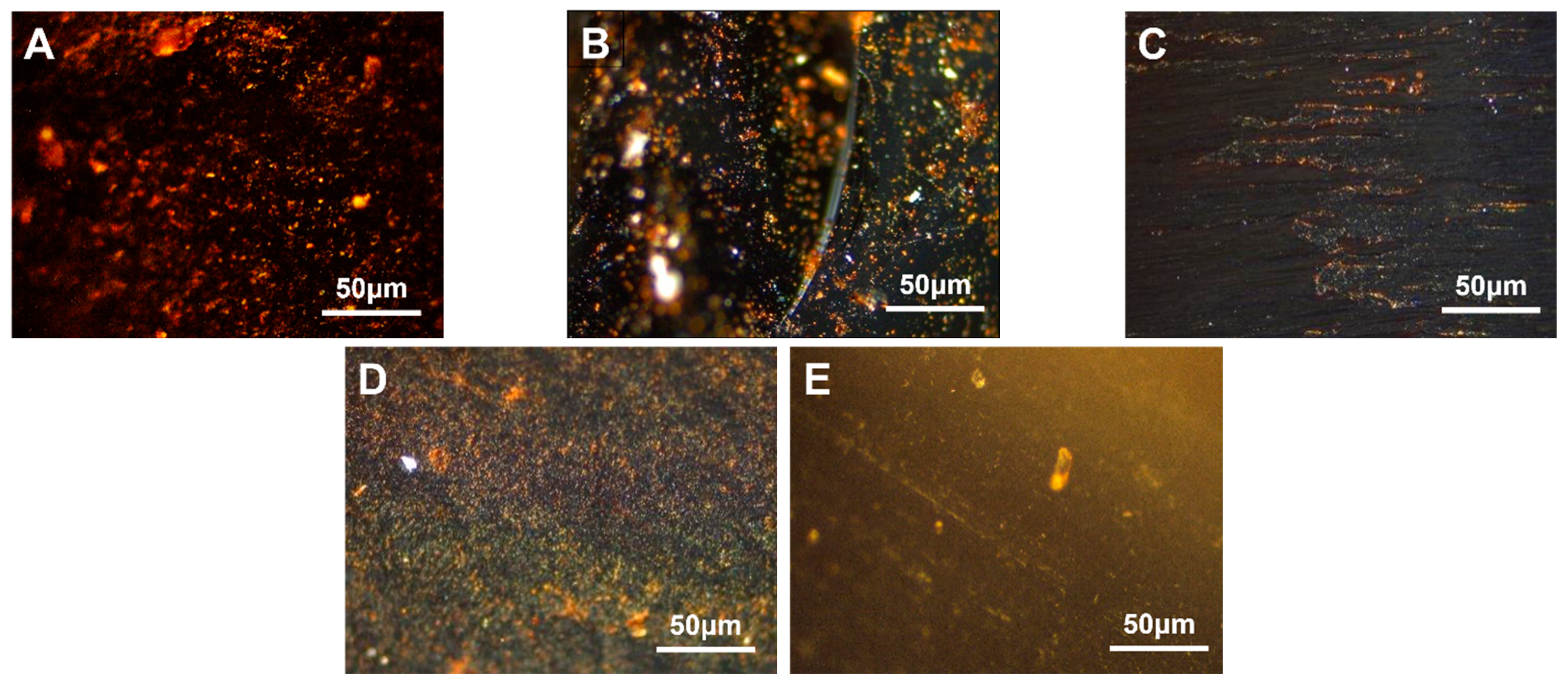 Polymers 16 00161 g008