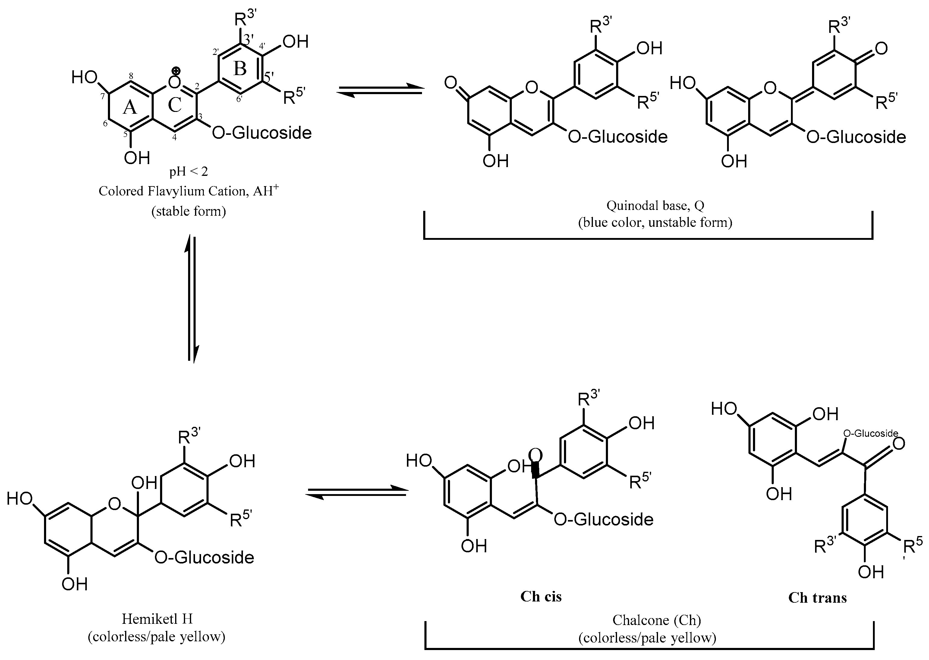 Polymers 16 00163 g002