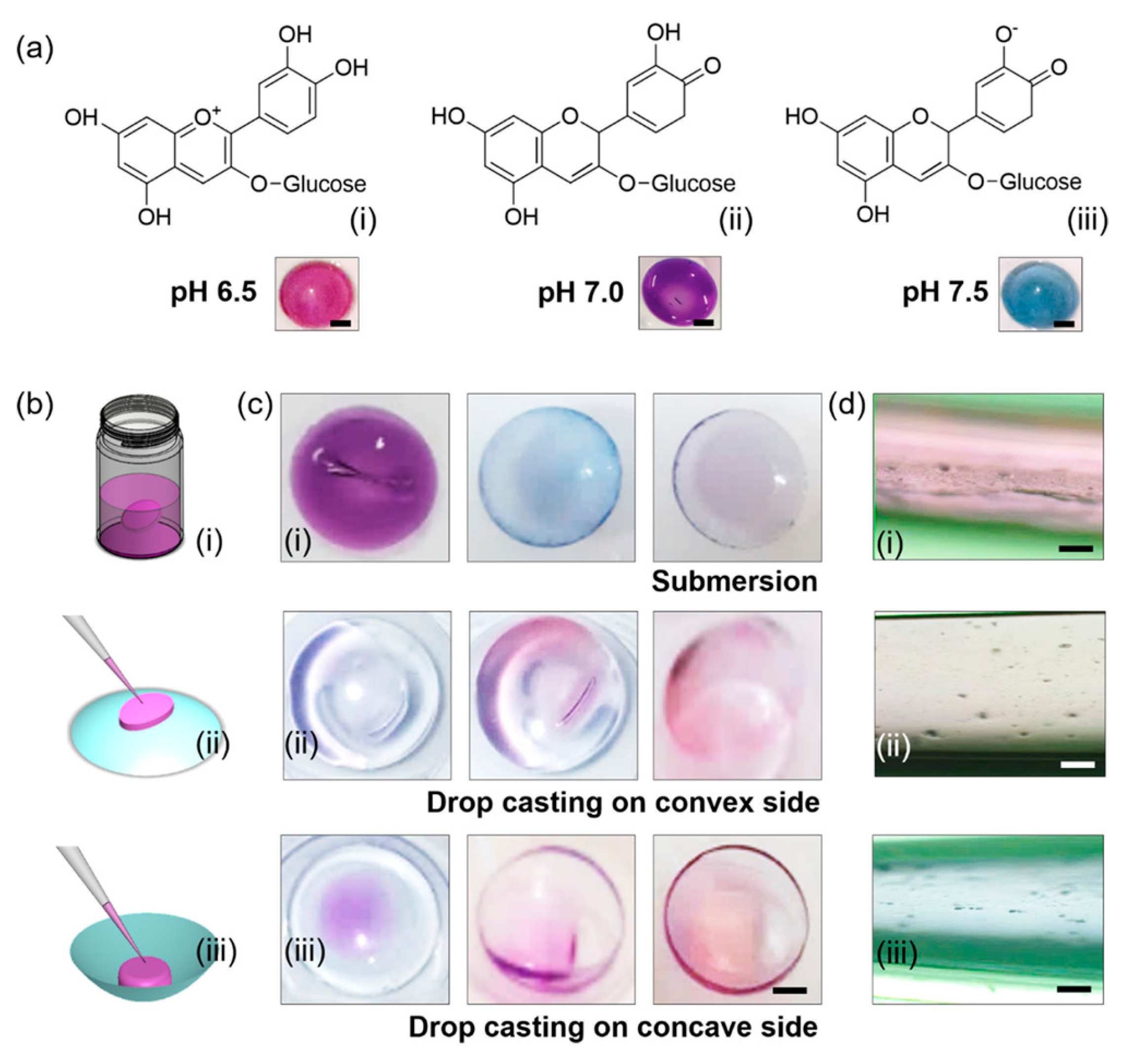 Polymers 16 00163 g010