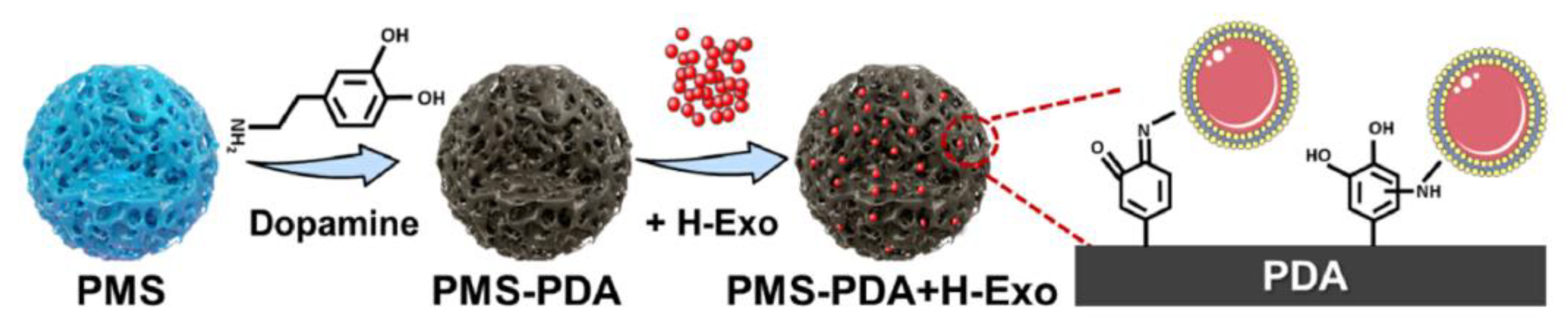 Polymers 16 00165 g004 Polymers 16 00165 g004