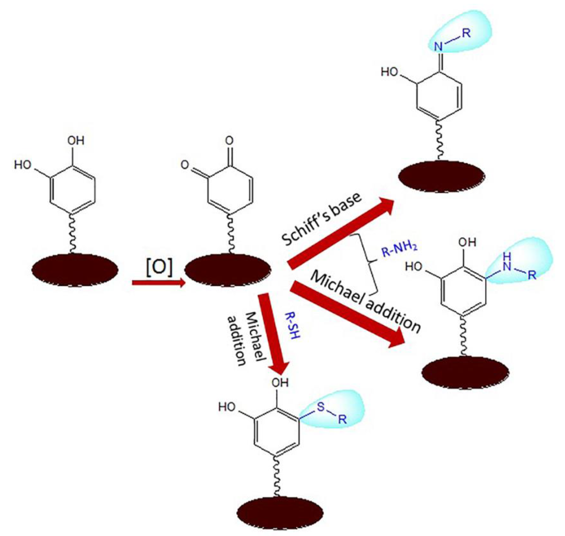 Polymers 16 00165 g005 Polymers 16 00165 g005