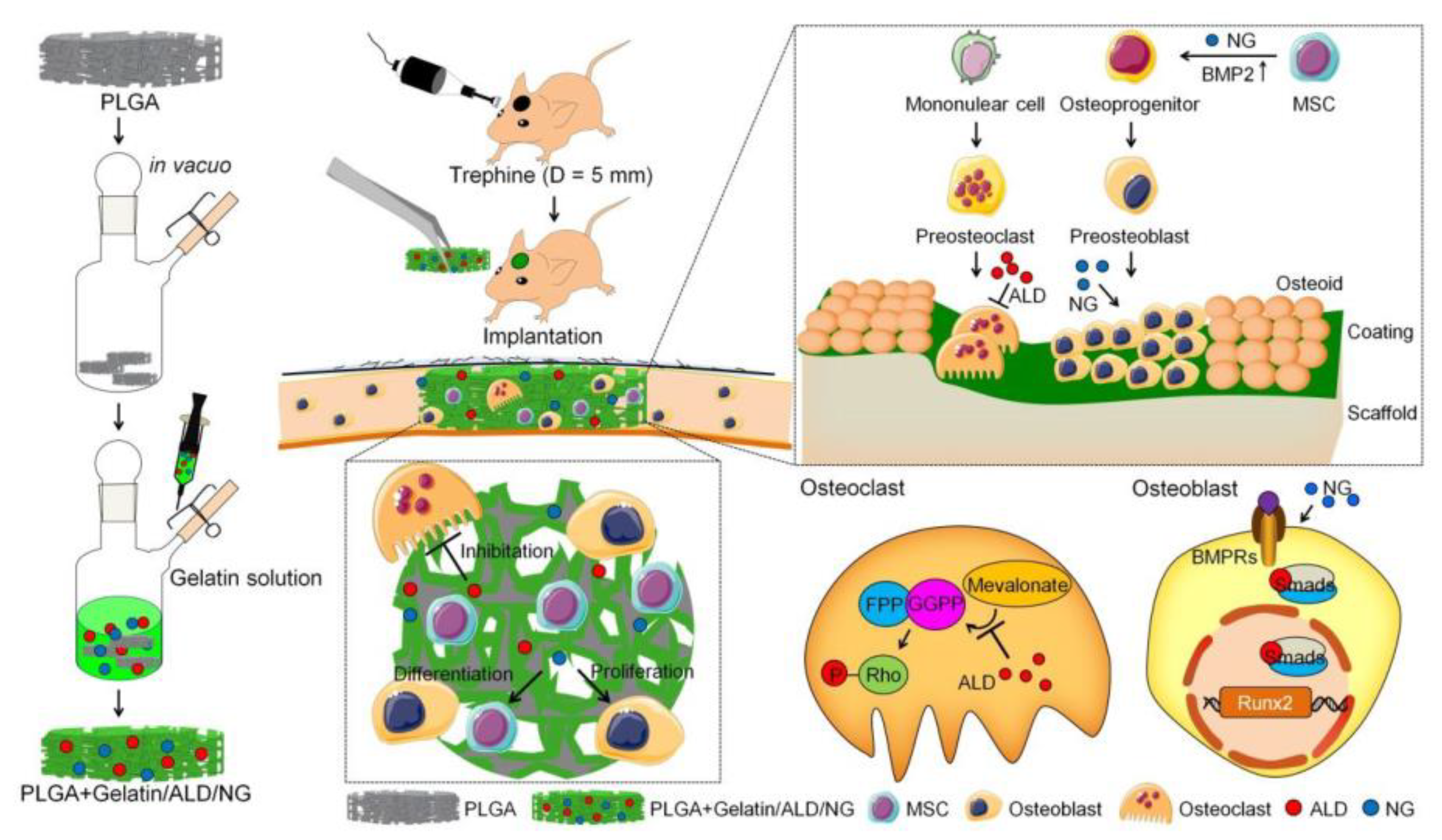 Polymers 16 00165 g010 Polymers 16 00165 g010