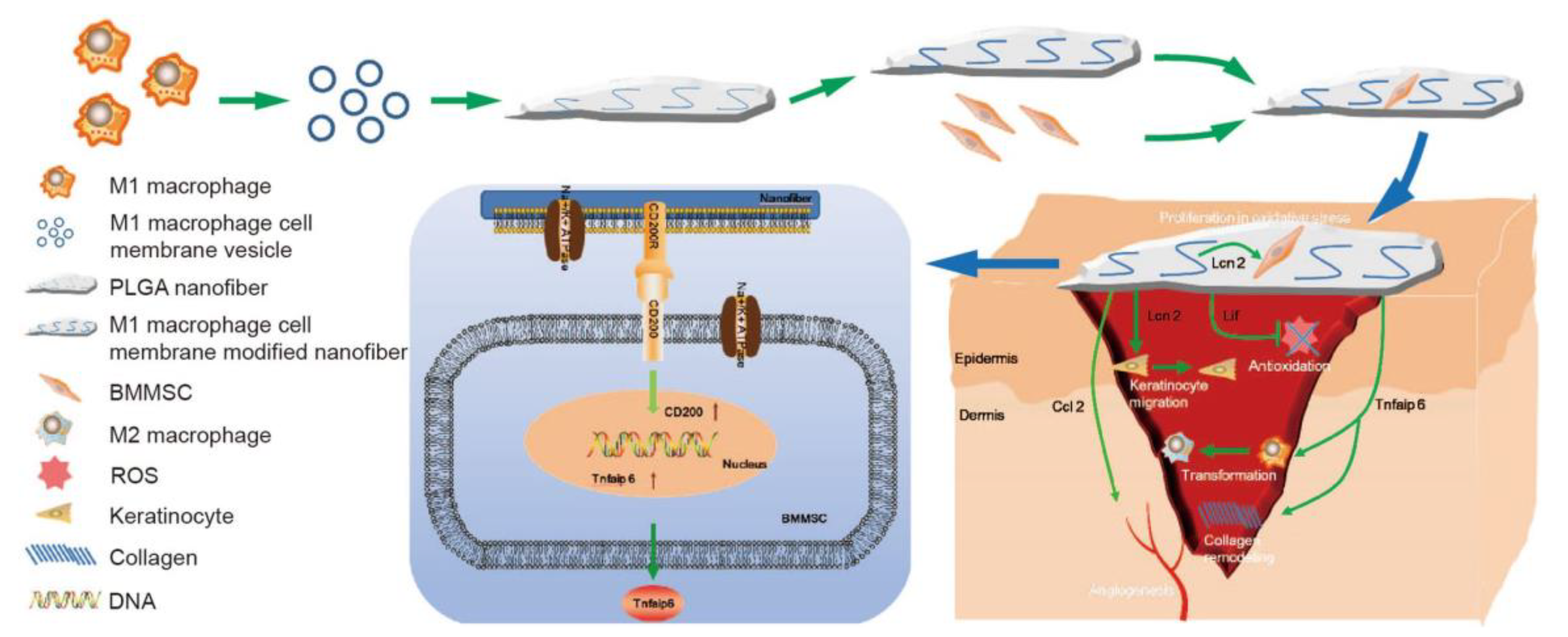 Polymers 16 00165 g013 Polymers 16 00165 g013