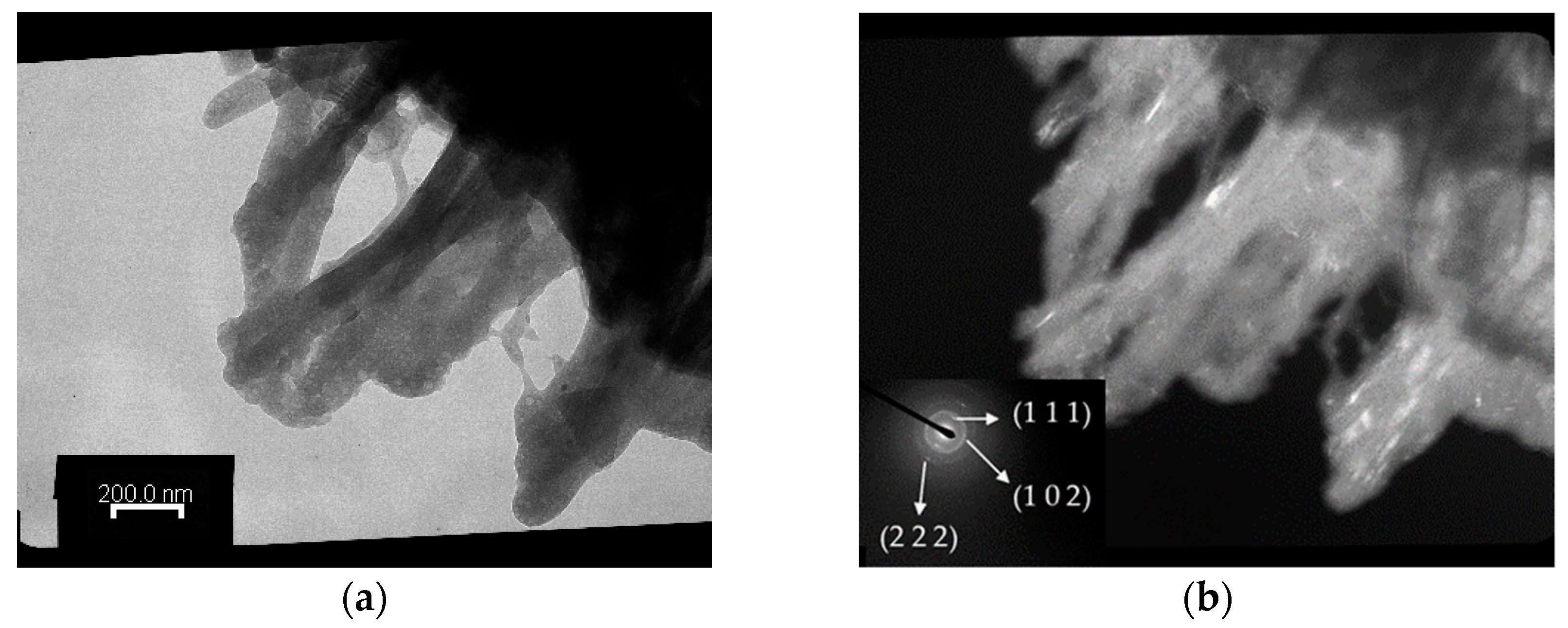 Polymers 16 00167 g007