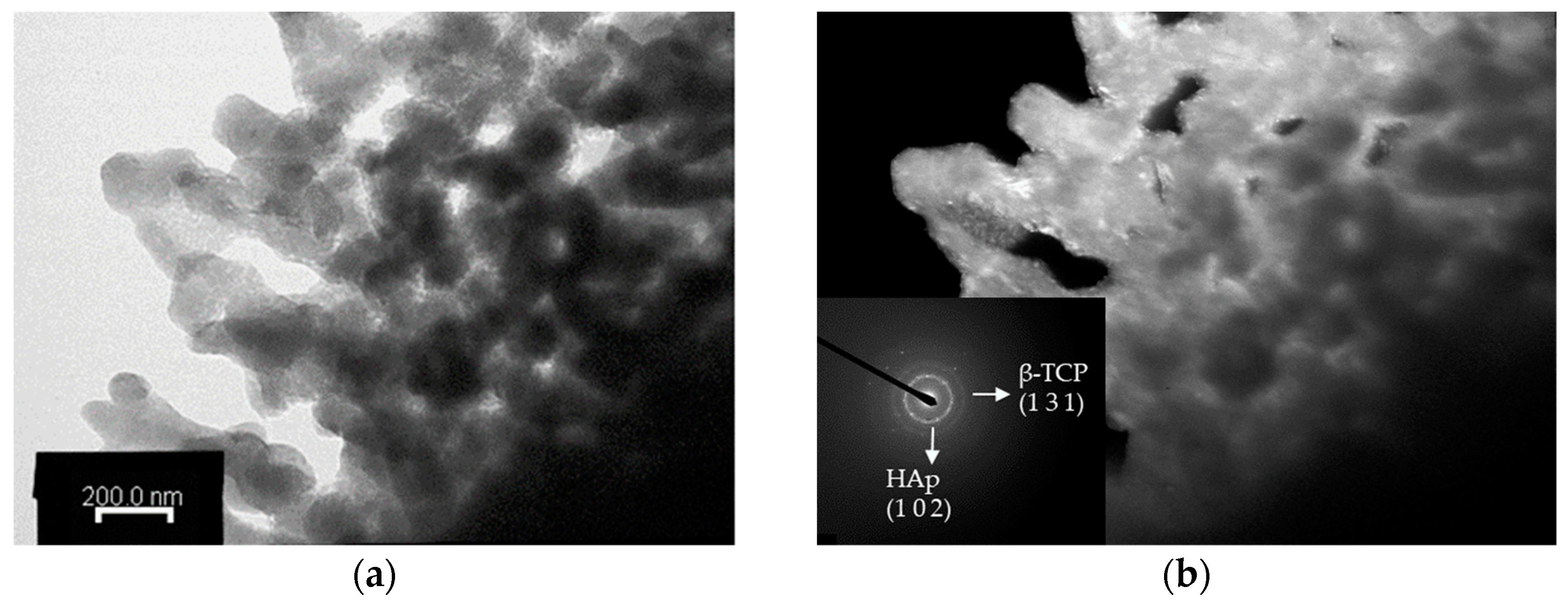 Polymers 16 00167 g008