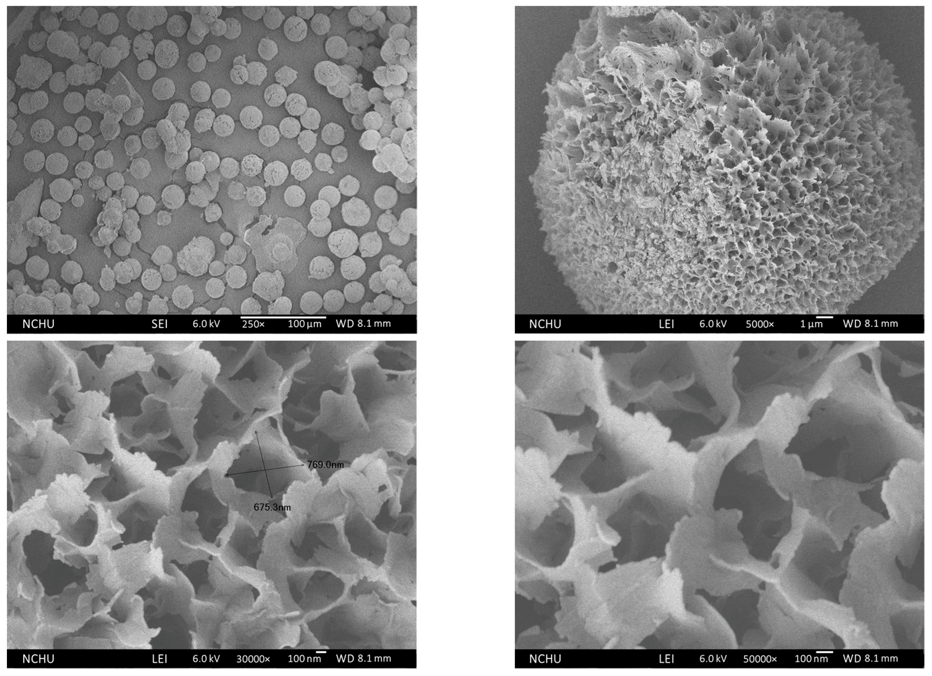 Polymers 16 00167 g014