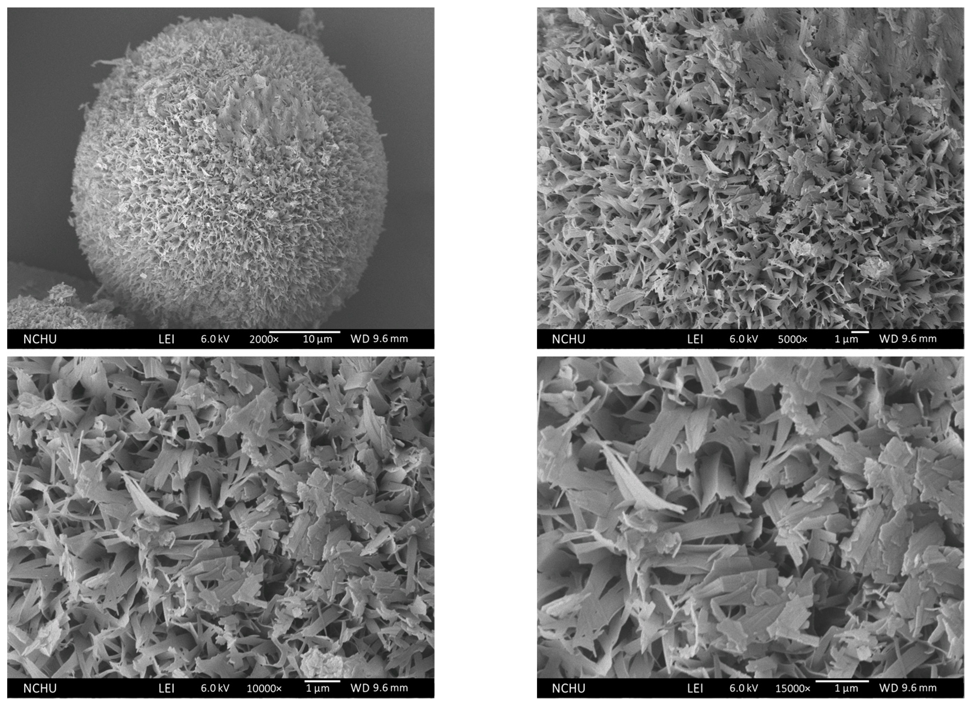 Polymers 16 00167 g015