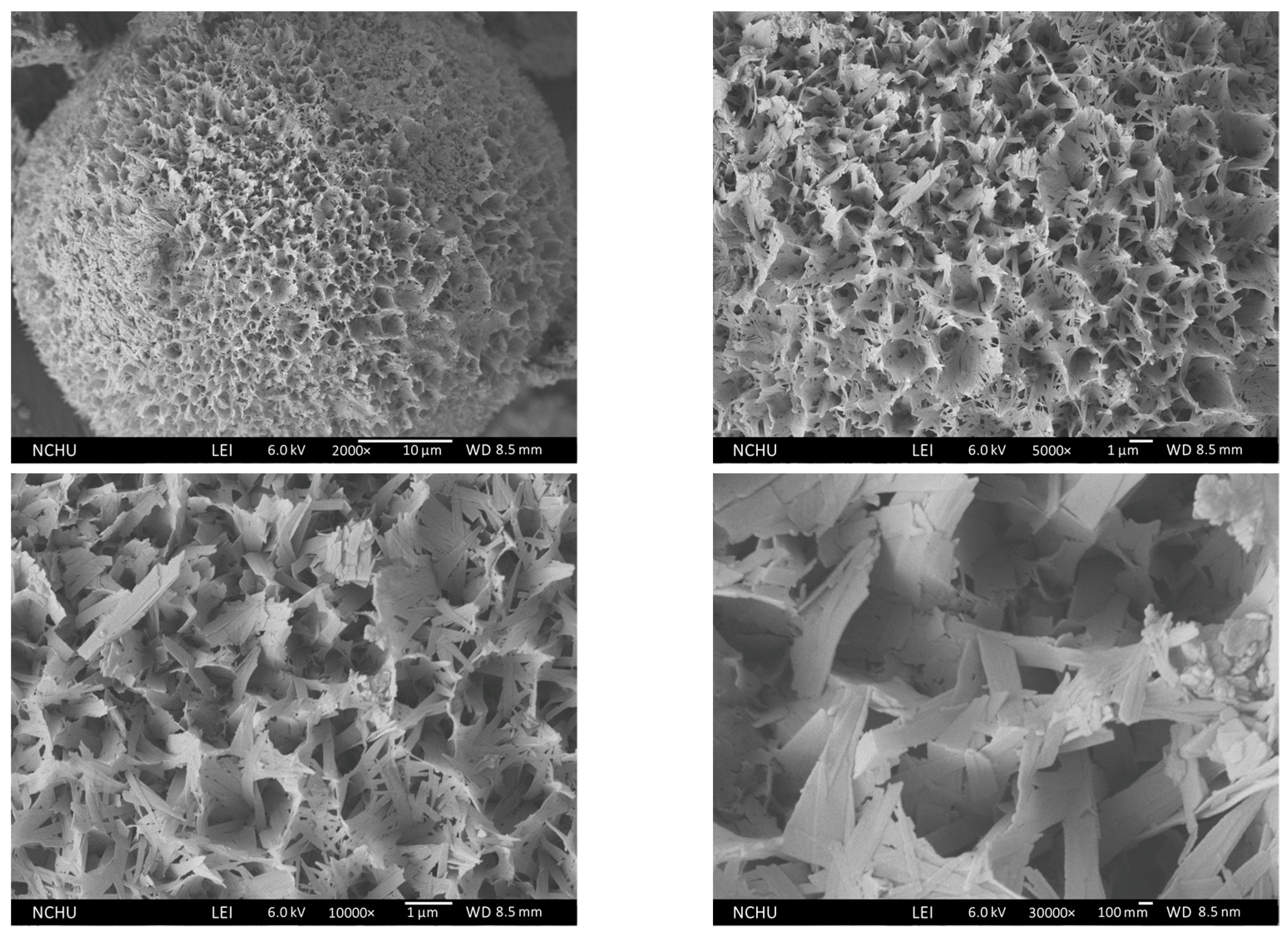 Polymers 16 00167 g017