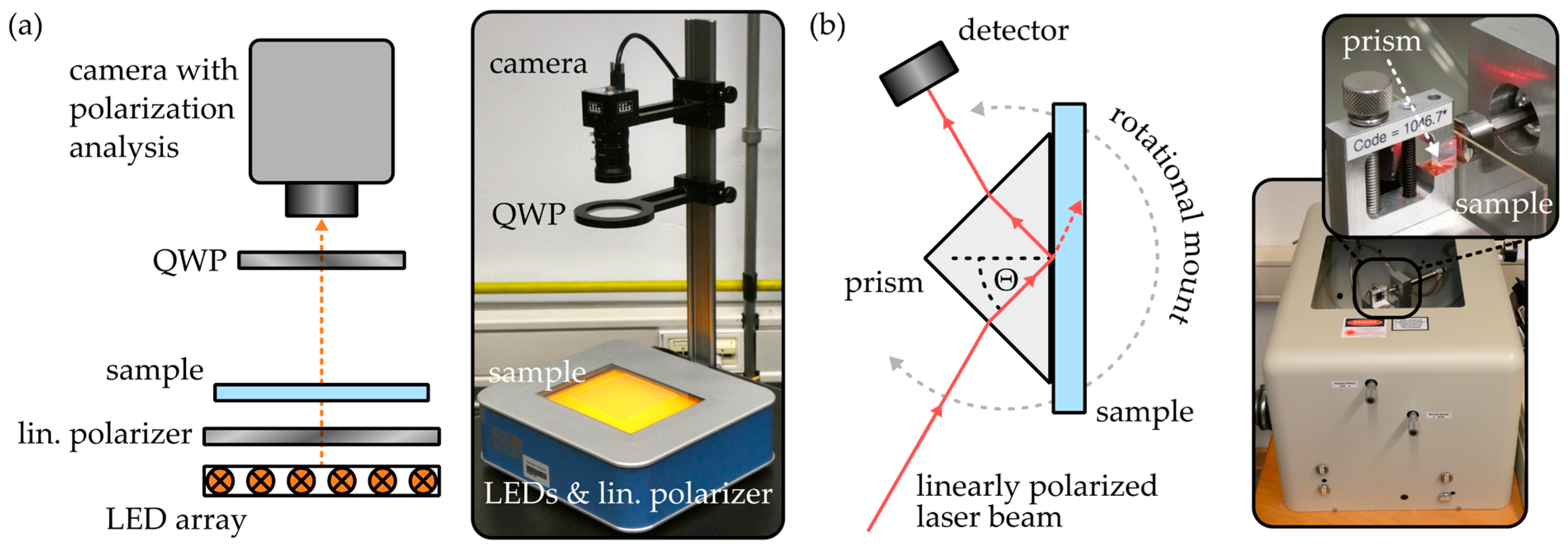 Polymers 16 00168 g002