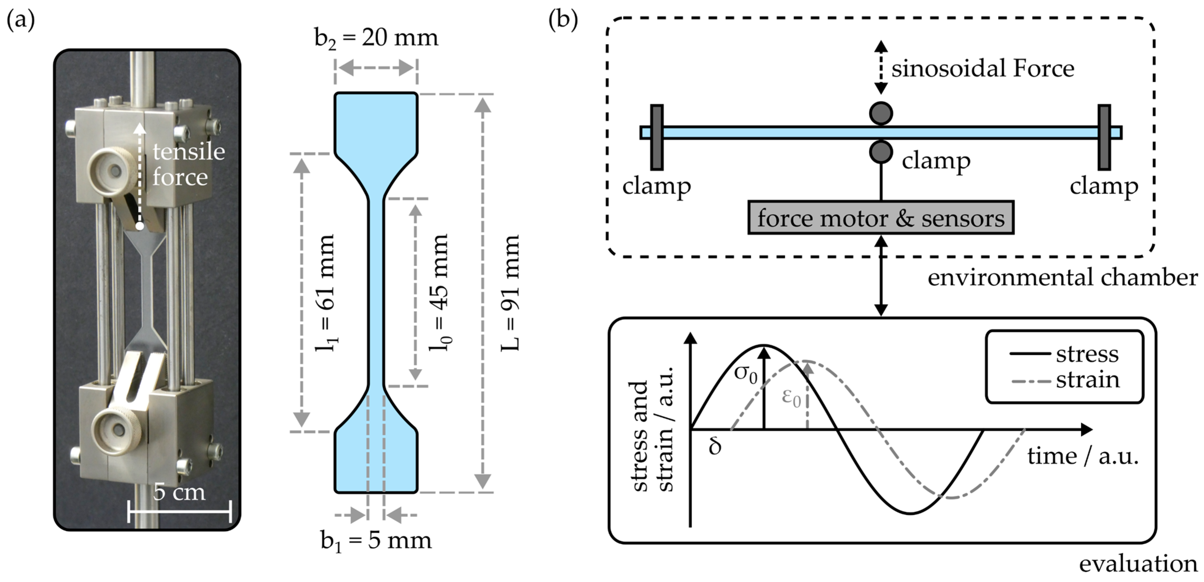 Polymers 16 00168 g003