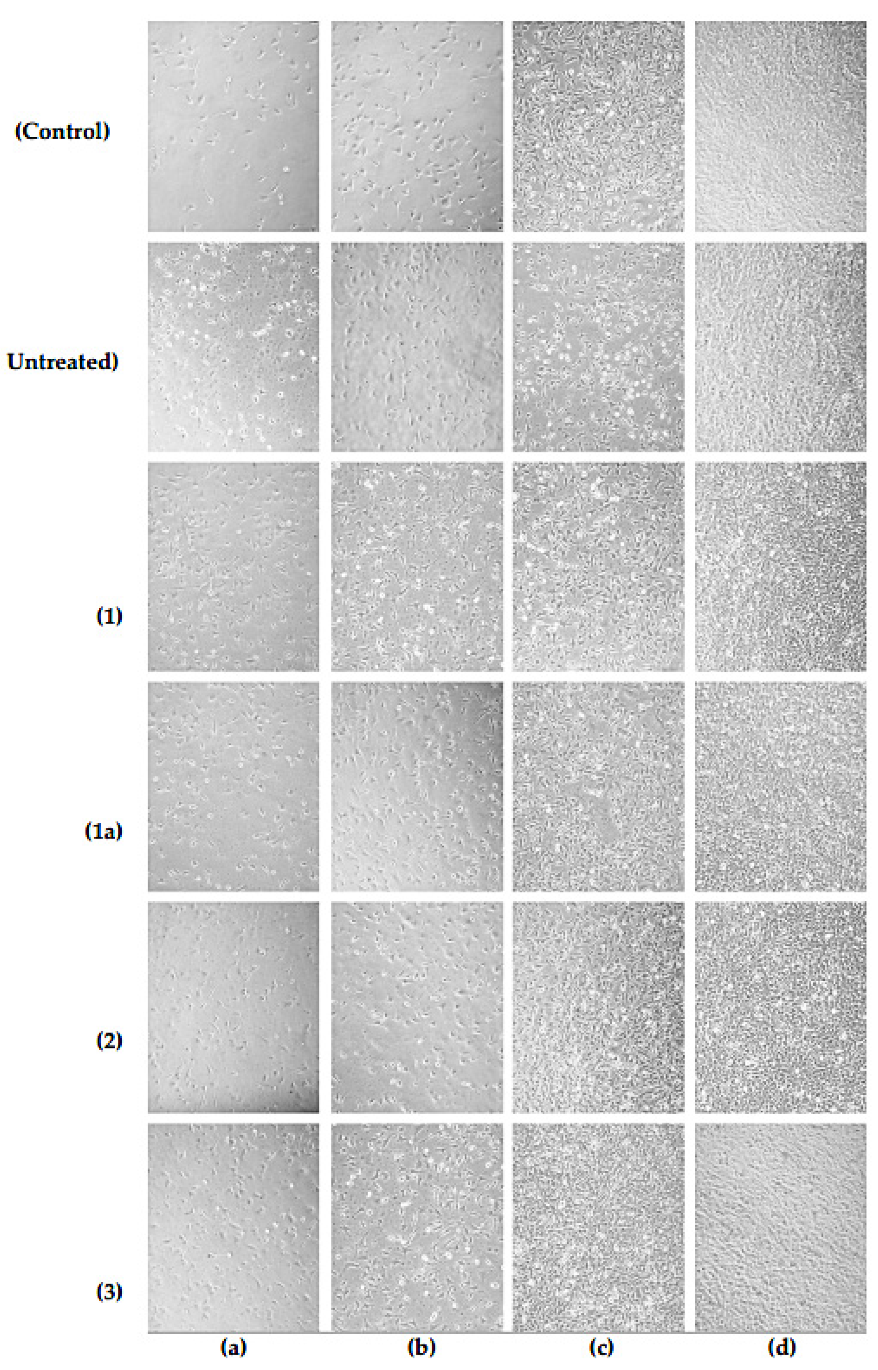 Polymers 16 00172 g007 Polymers 16 00172 g007