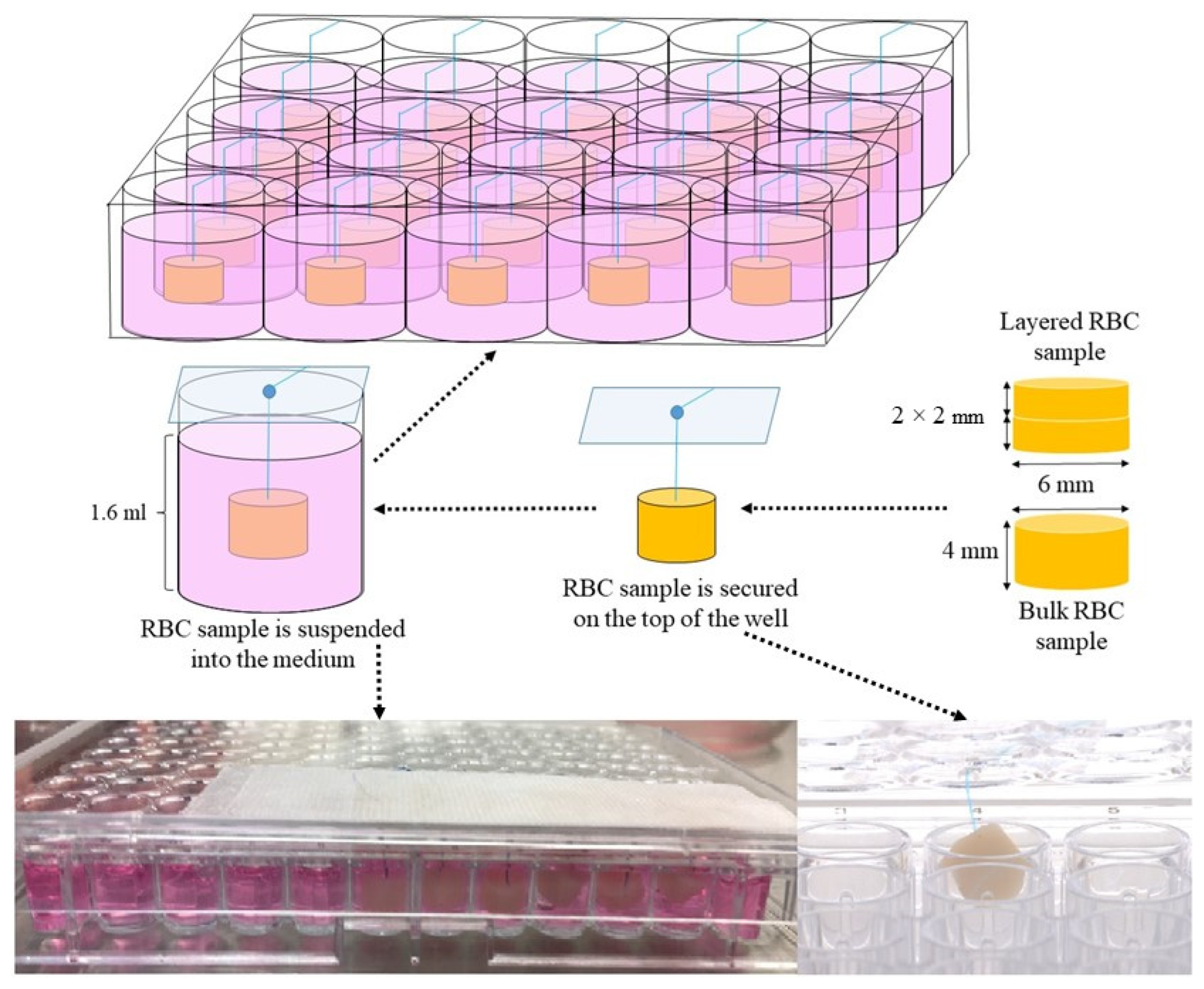 Polymers 16 00174 g001