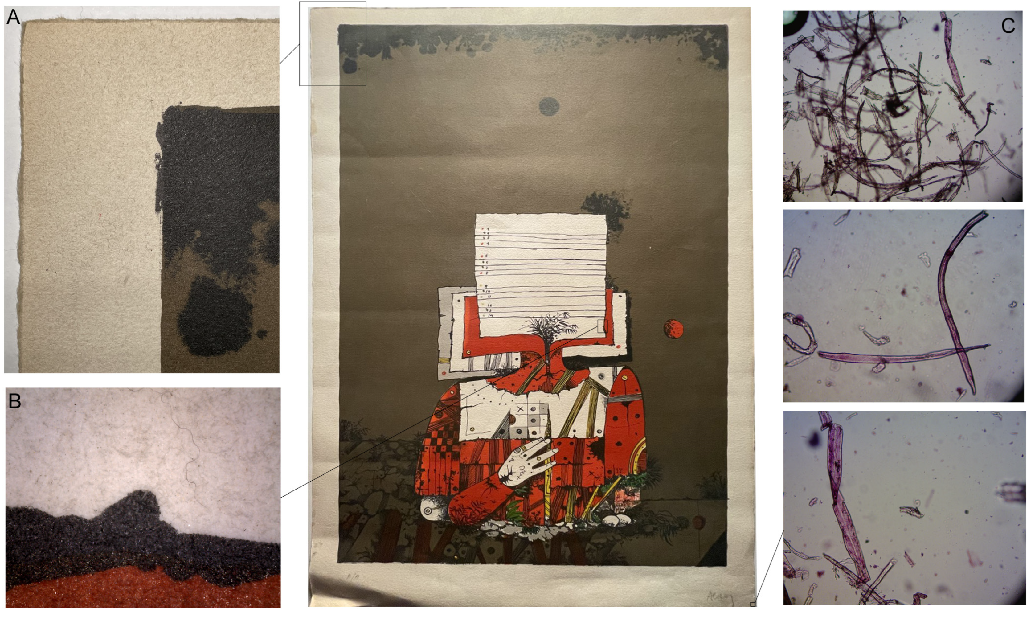 Polymers 16 00176 g001