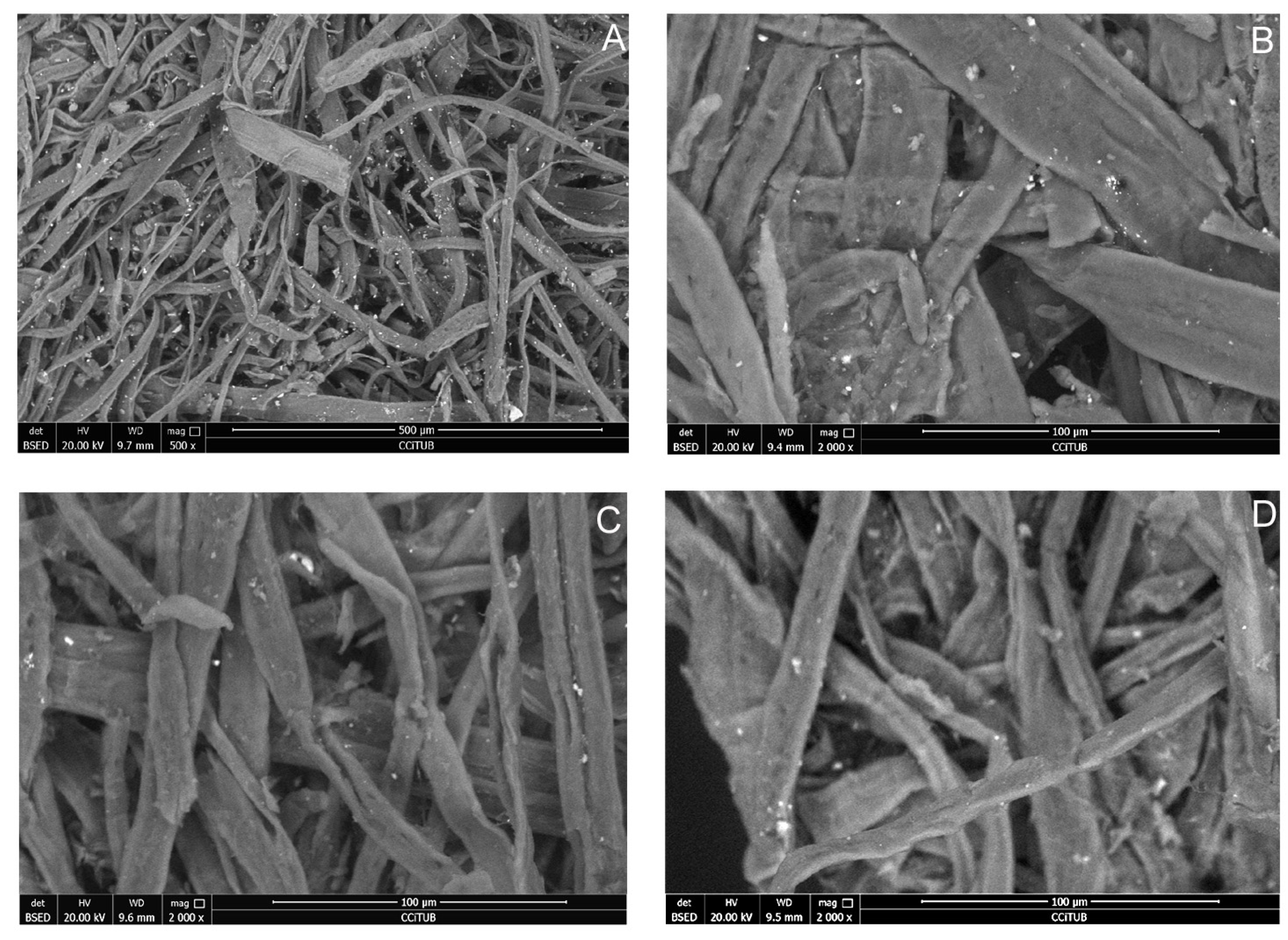 Polymers 16 00176 g005