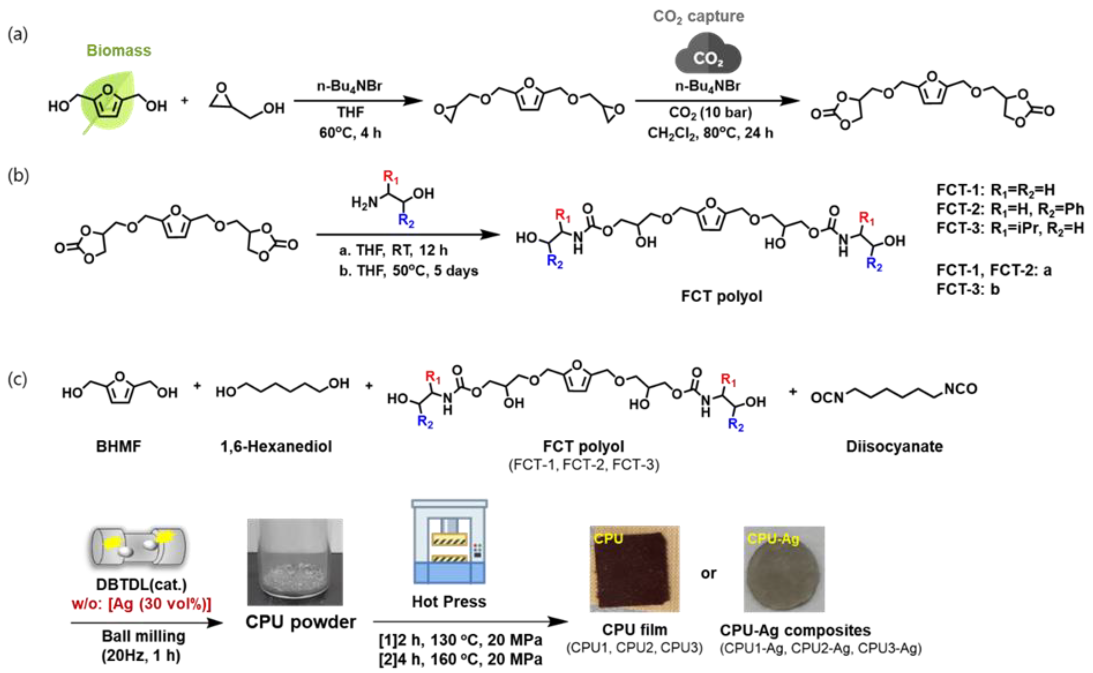 Polymers 16 00177 sch001