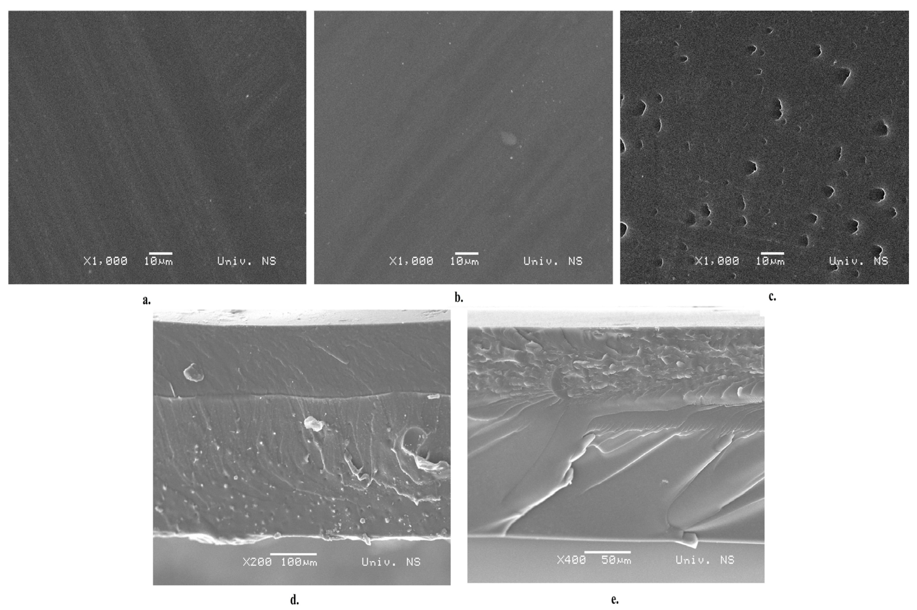 Polymers 16 00178 g004