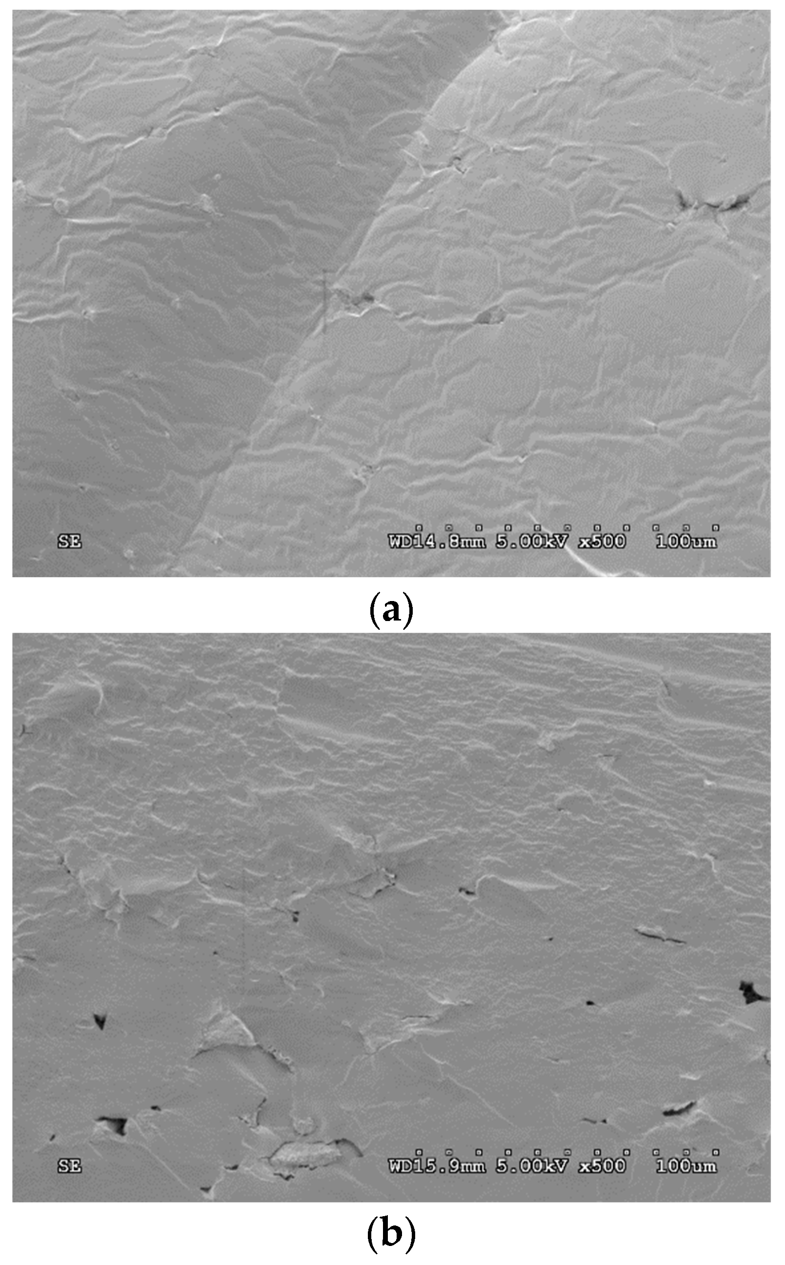 Polymers 16 00180 g008a Polymers 16 00180 g008a