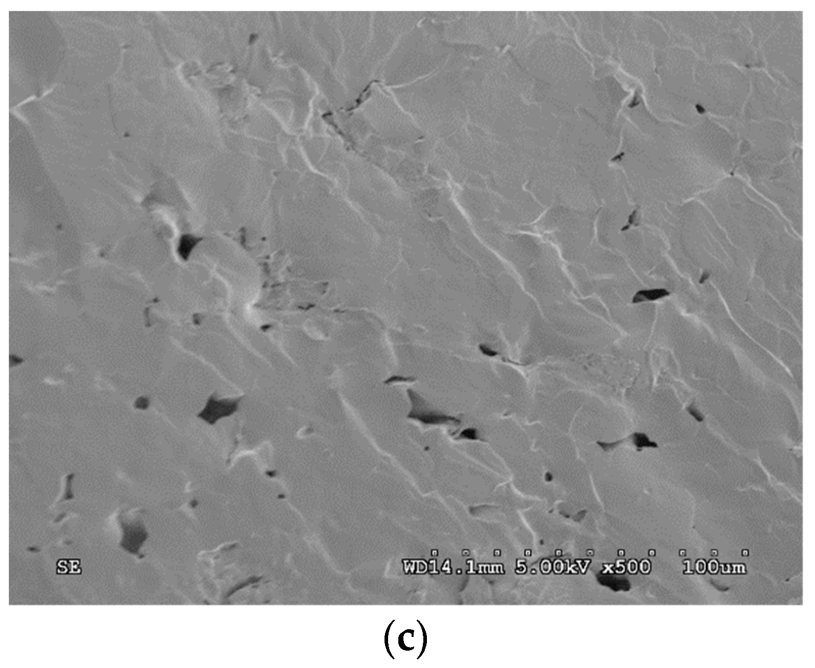 Polymers 16 00180 g008b Polymers 16 00180 g008b