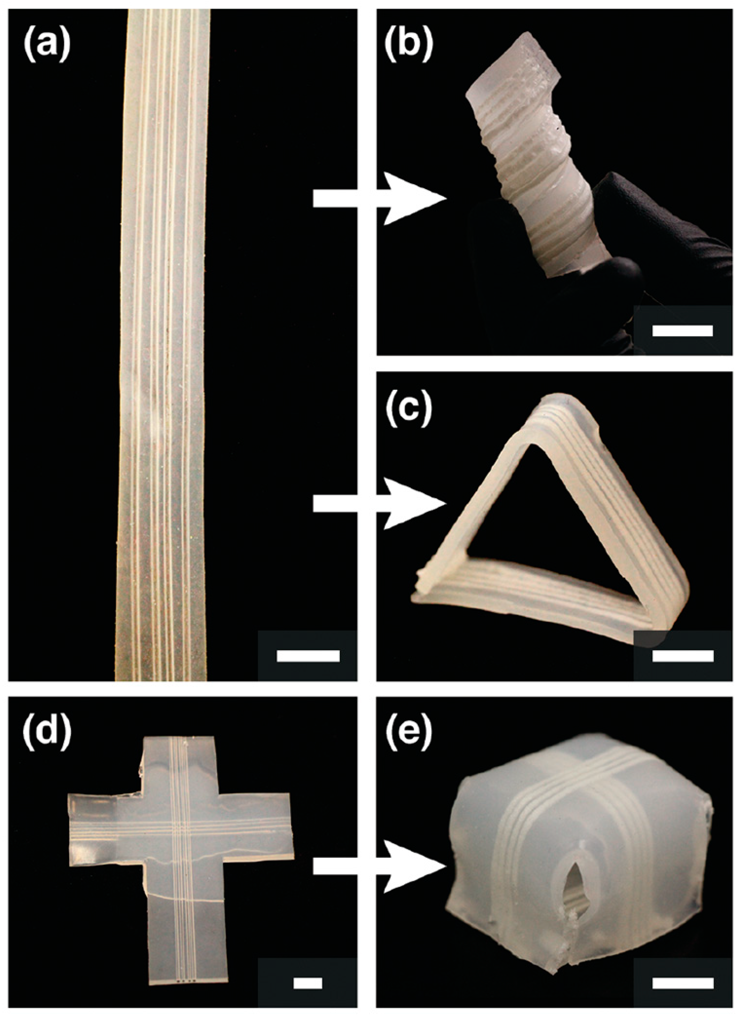 Polymers 16 00185 g023 Polymers 16 00185 g023