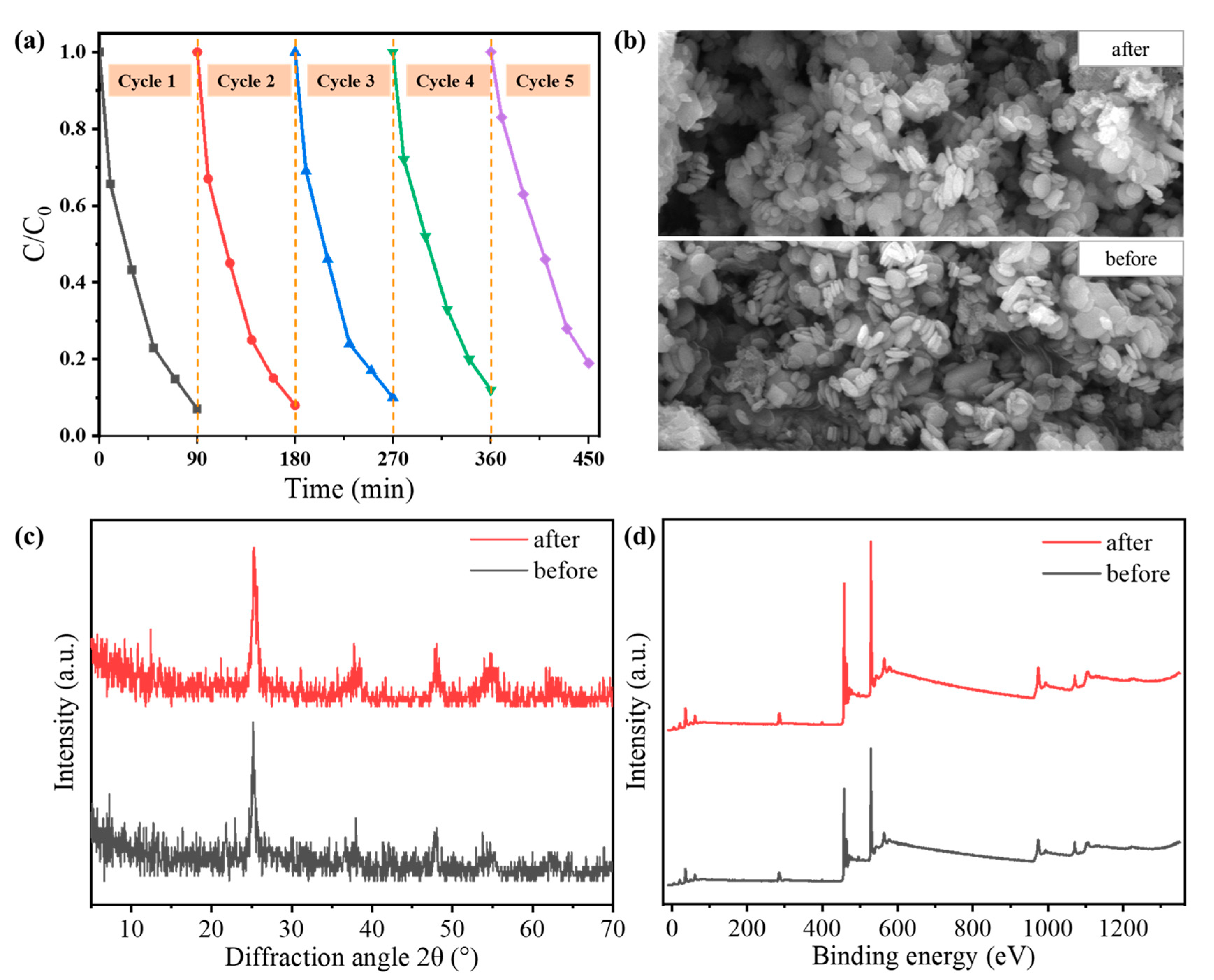 Polymers 16 00186 g004