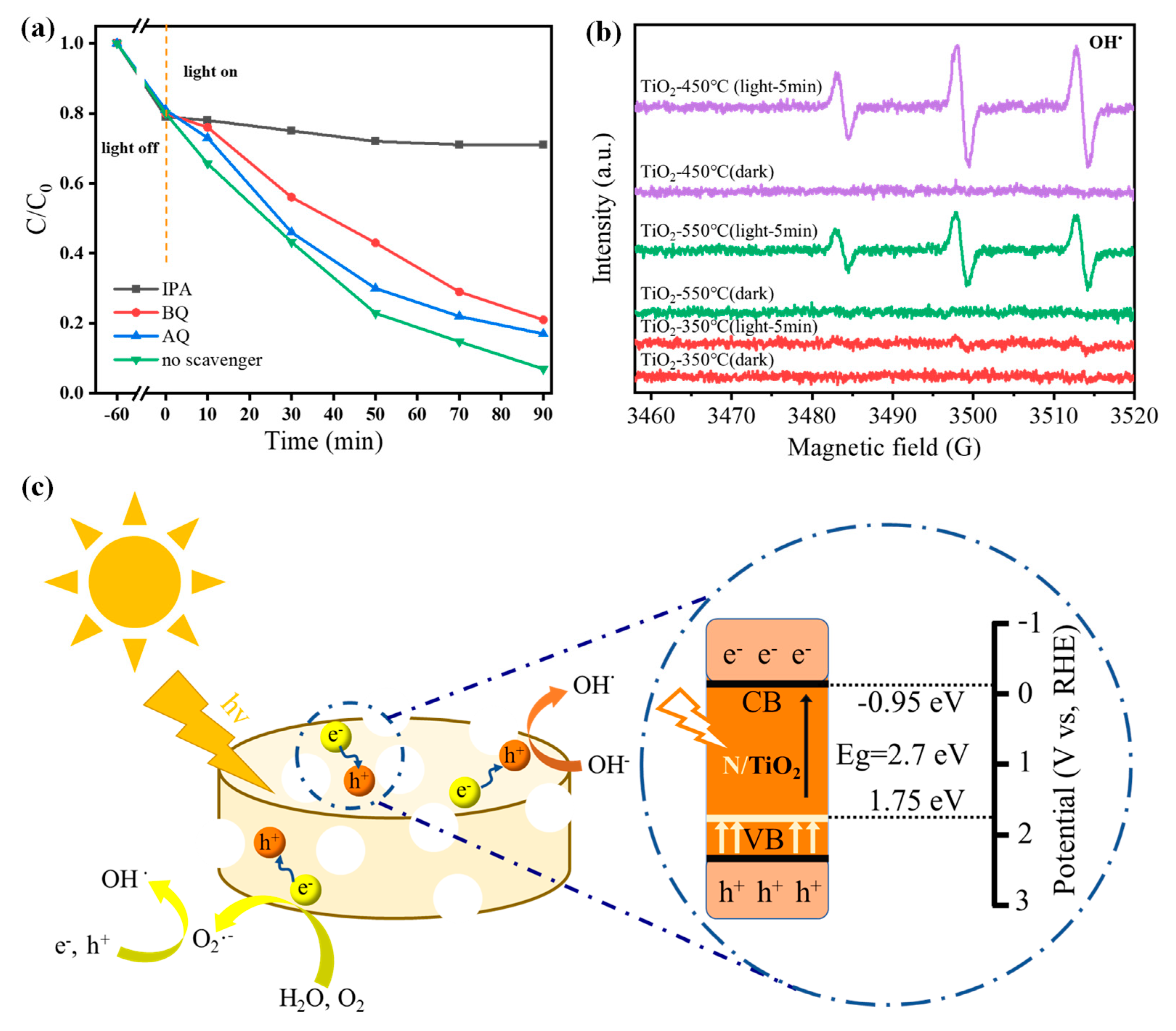 Polymers 16 00186 g005