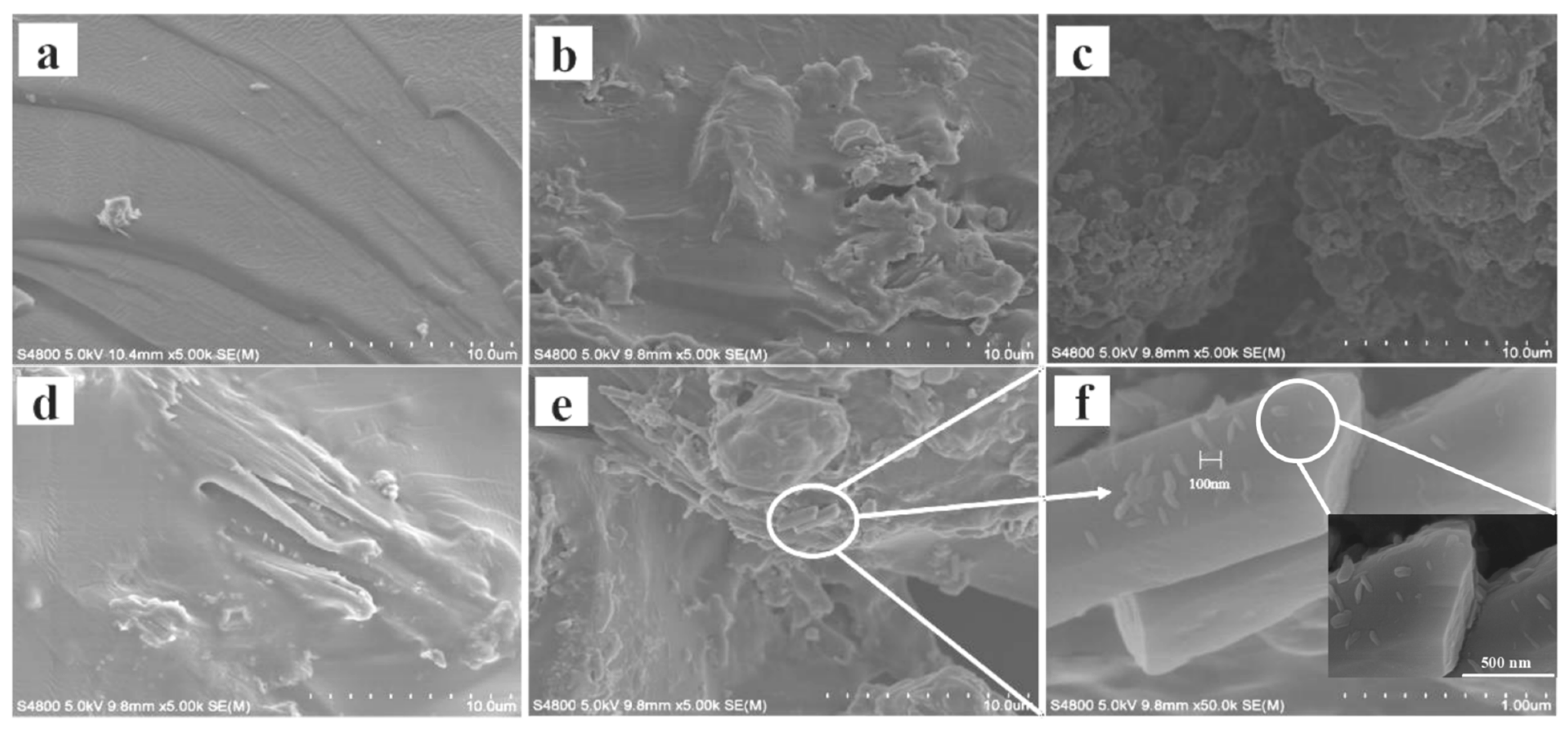 Polymers 16 00189 g004
